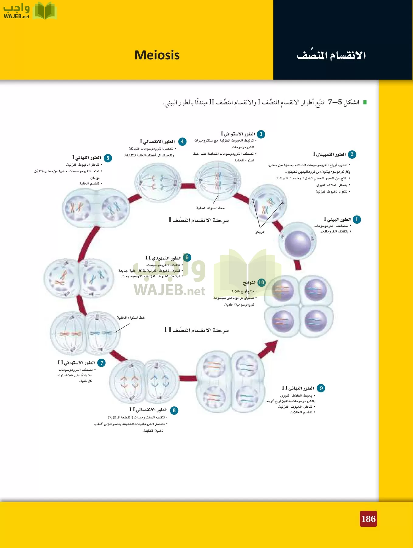 أحياء 3 مقررات page-185