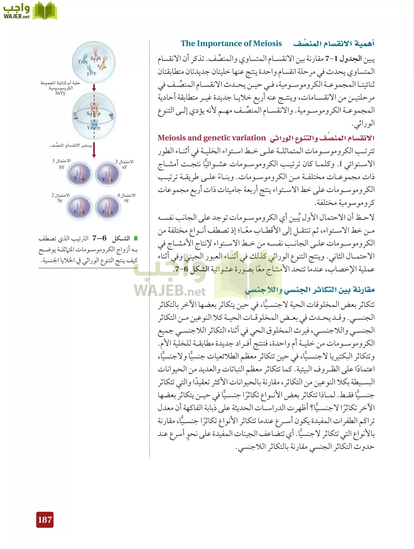 أحياء 3 مقررات page-186