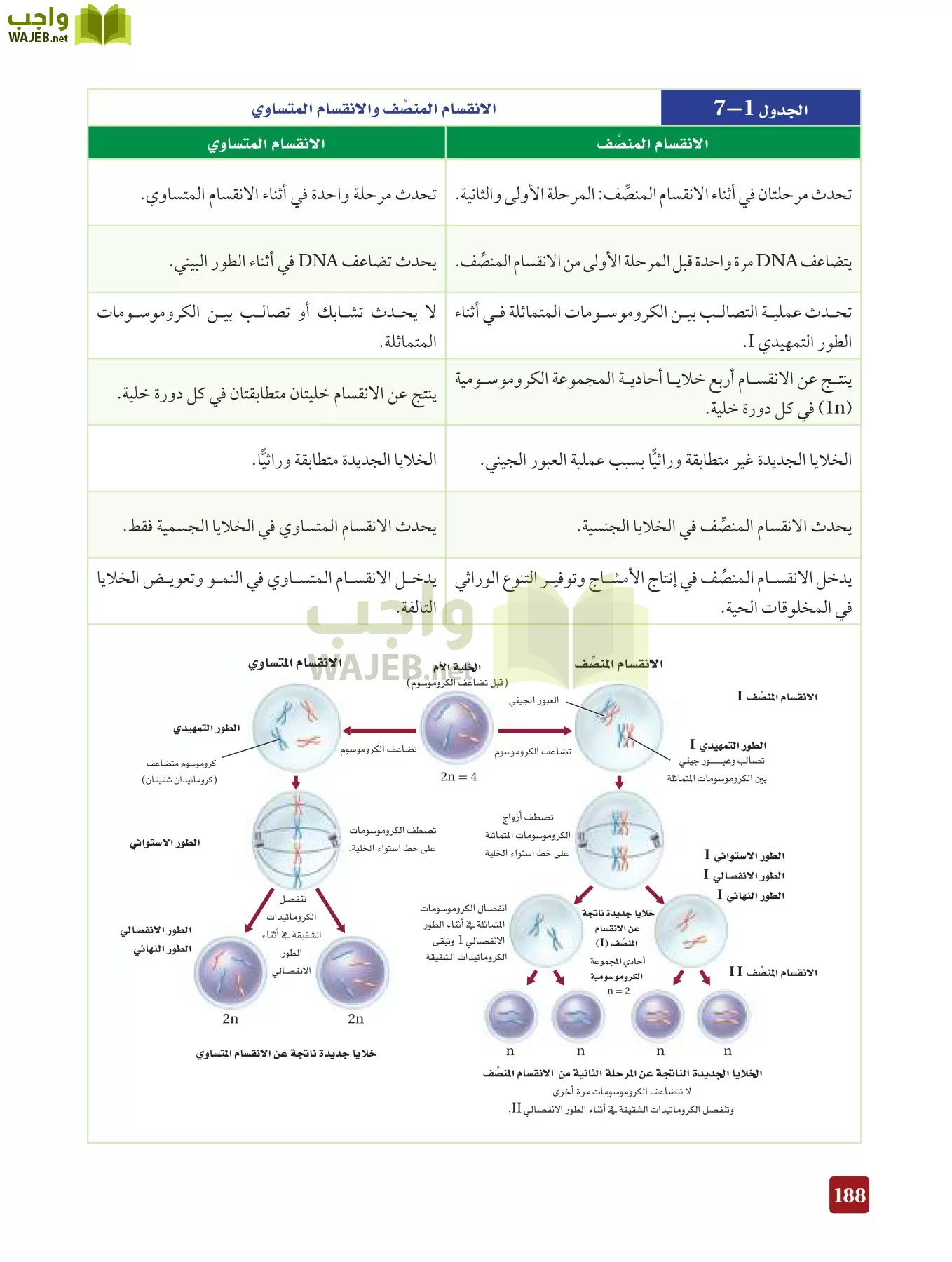 أحياء 3 مقررات page-187