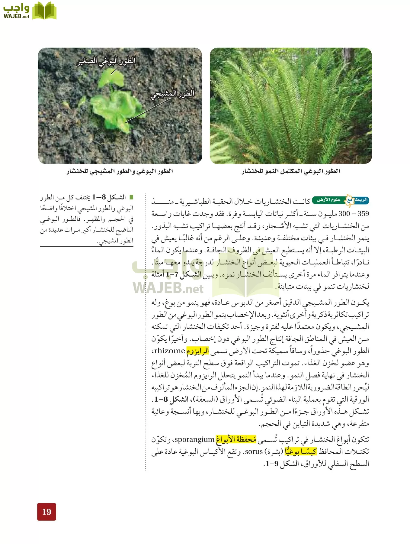 أحياء 3 مقررات page-18