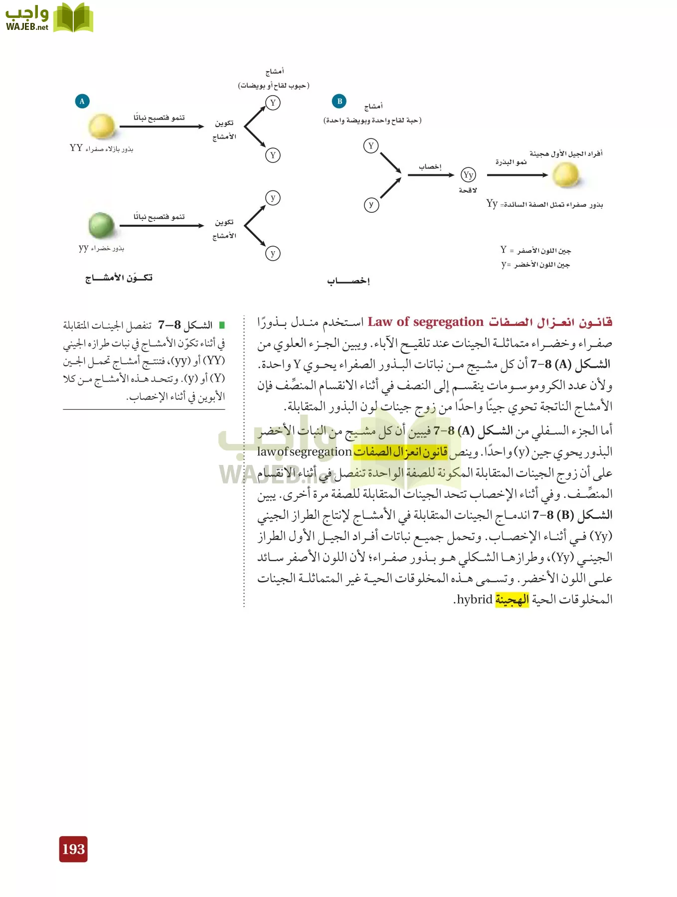 أحياء 3 مقررات page-192