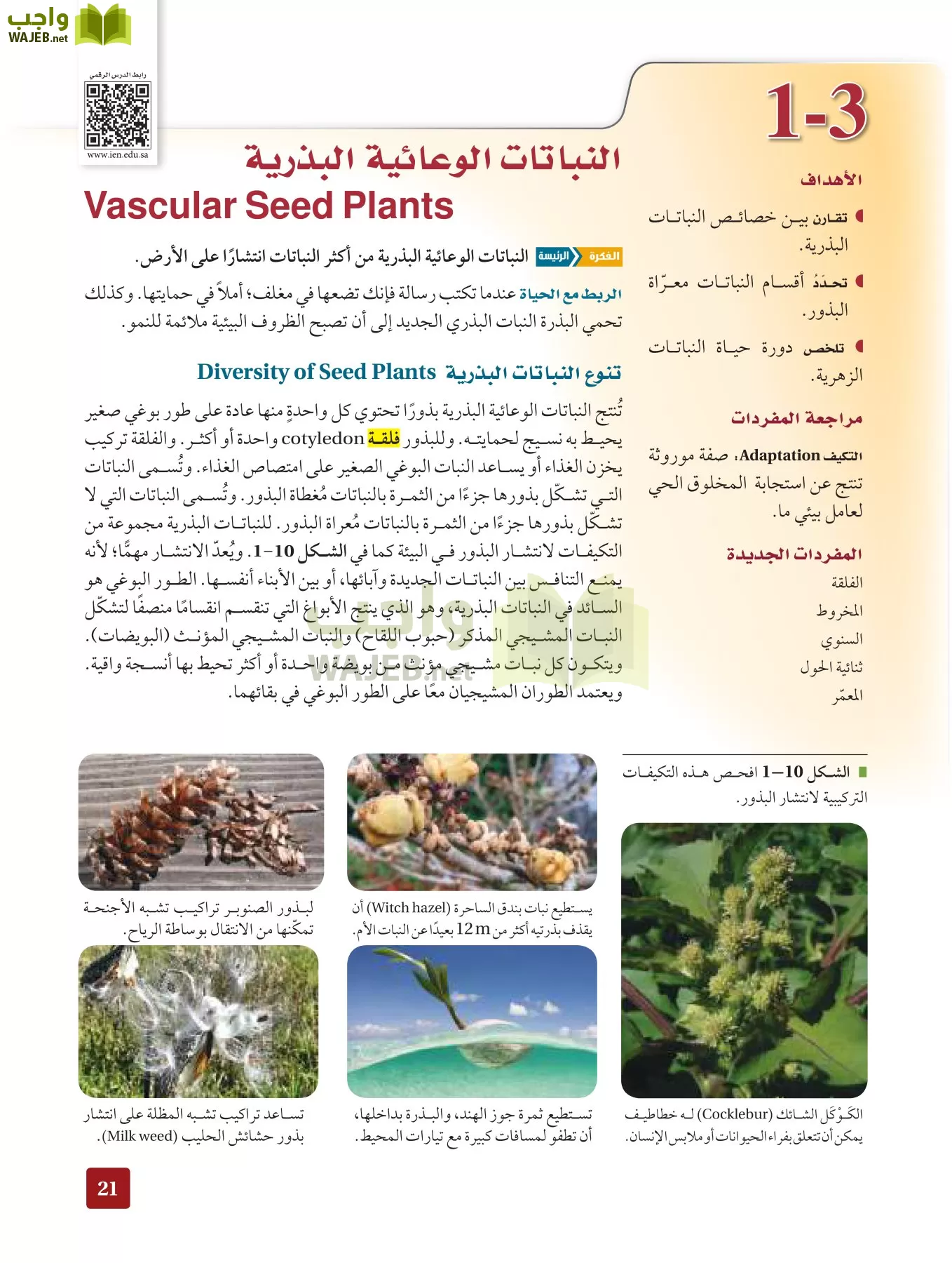أحياء 3 مقررات page-20