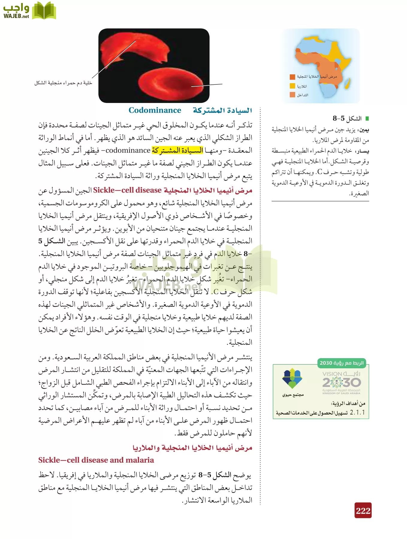 أحياء 3 مقررات page-221