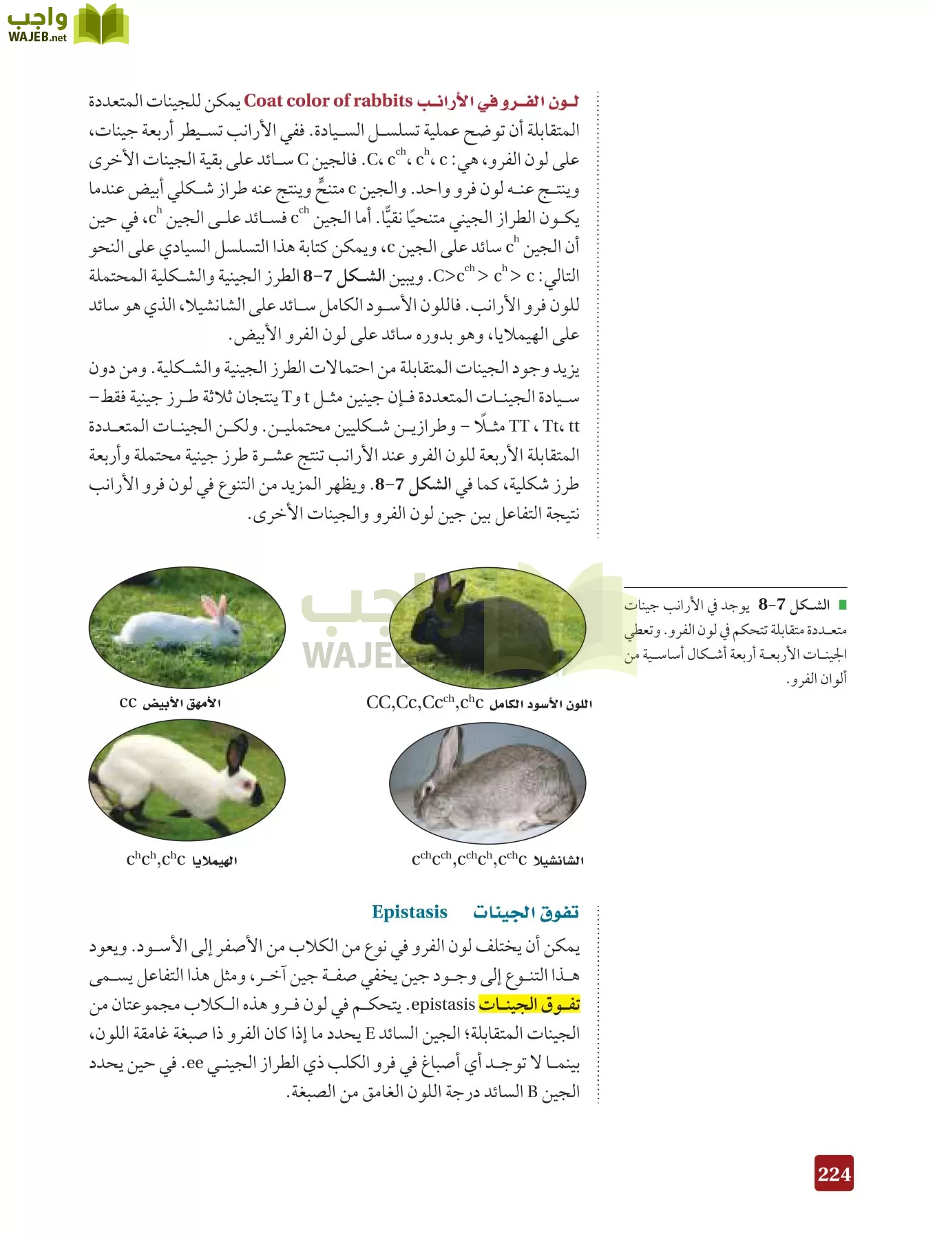 أحياء 3 مقررات page-223