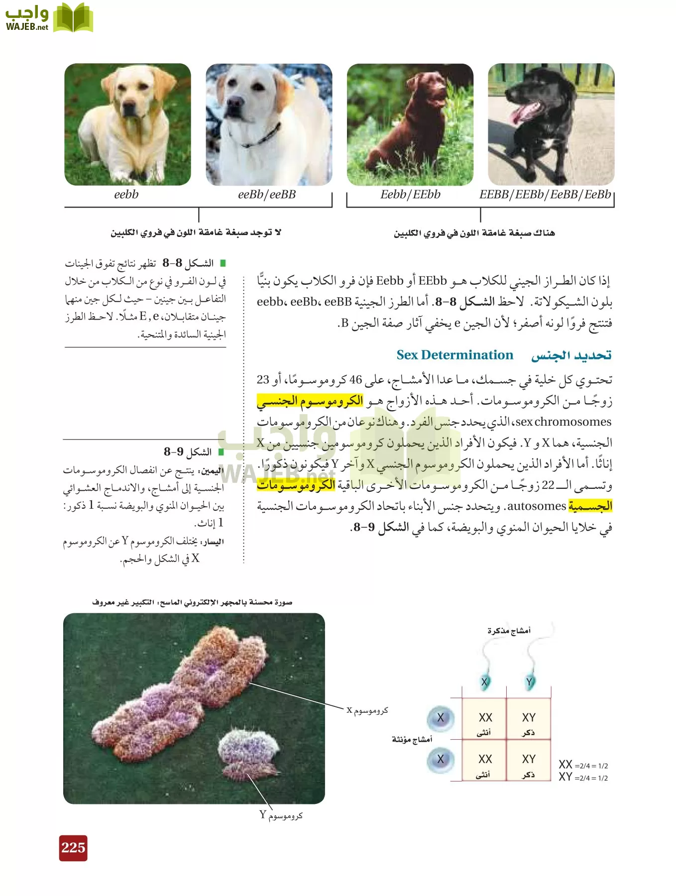 أحياء 3 مقررات page-224