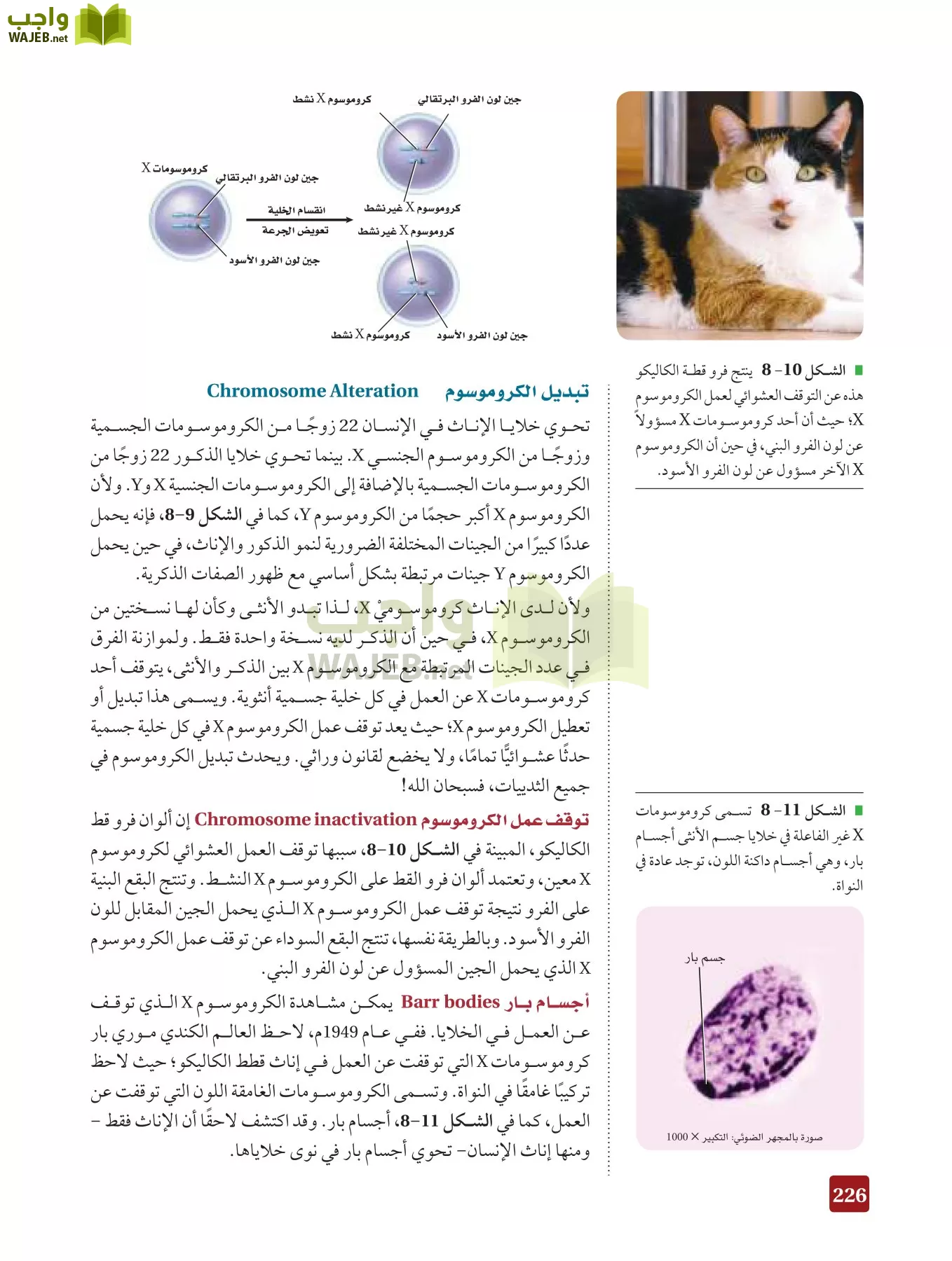 أحياء 3 مقررات page-225