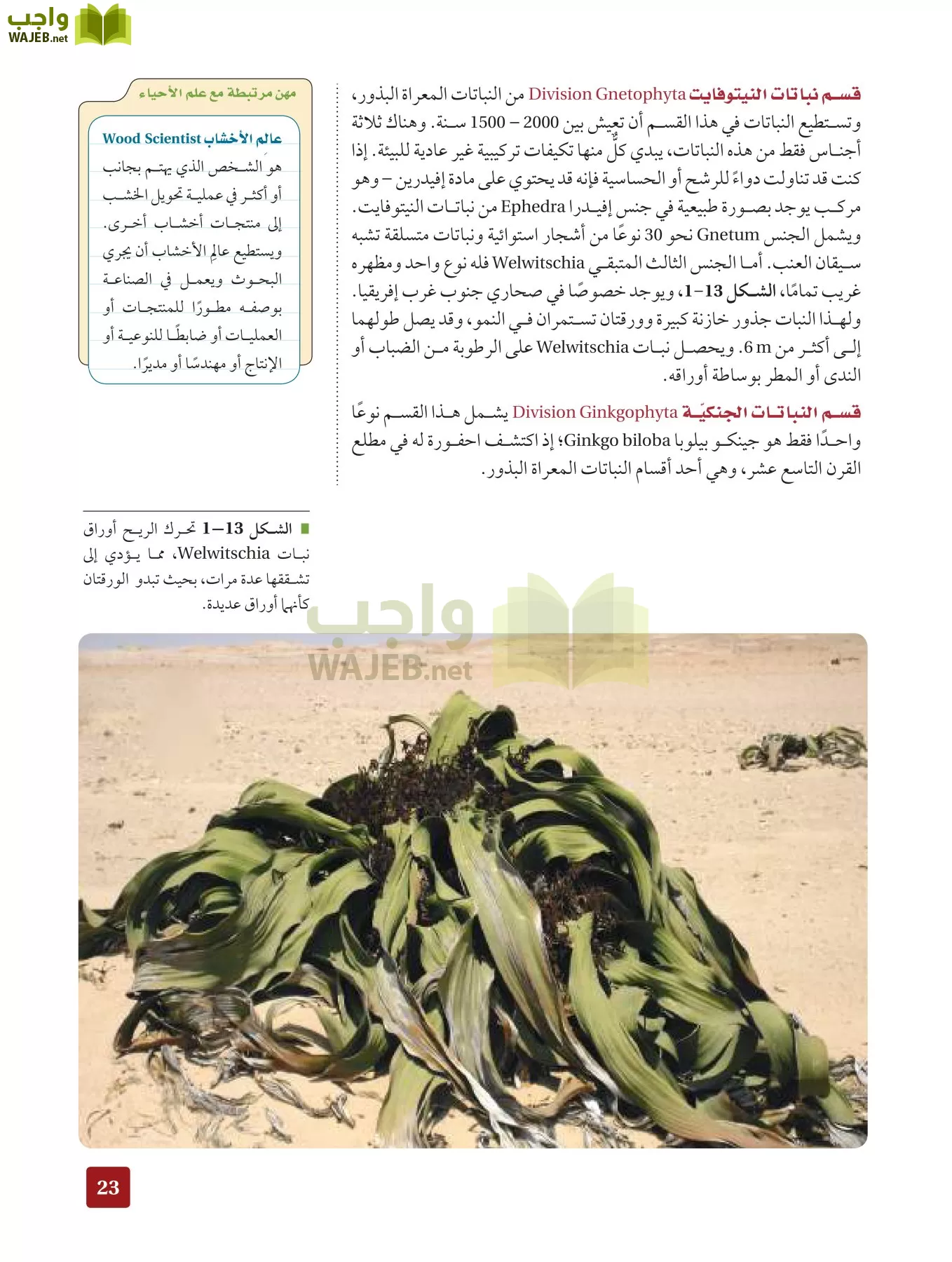 أحياء 3 مقررات page-22