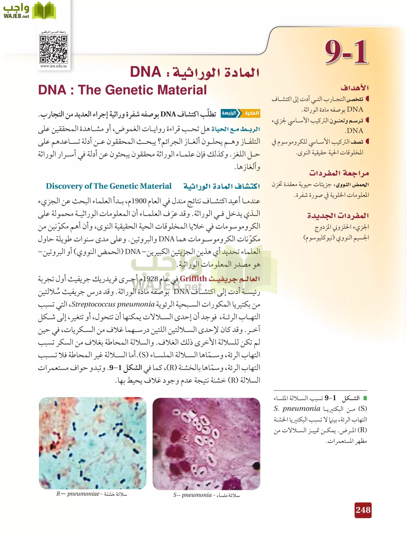 أحياء 3 مقررات page-247