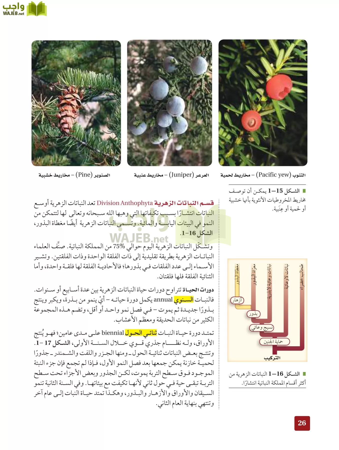 أحياء 3 مقررات page-25
