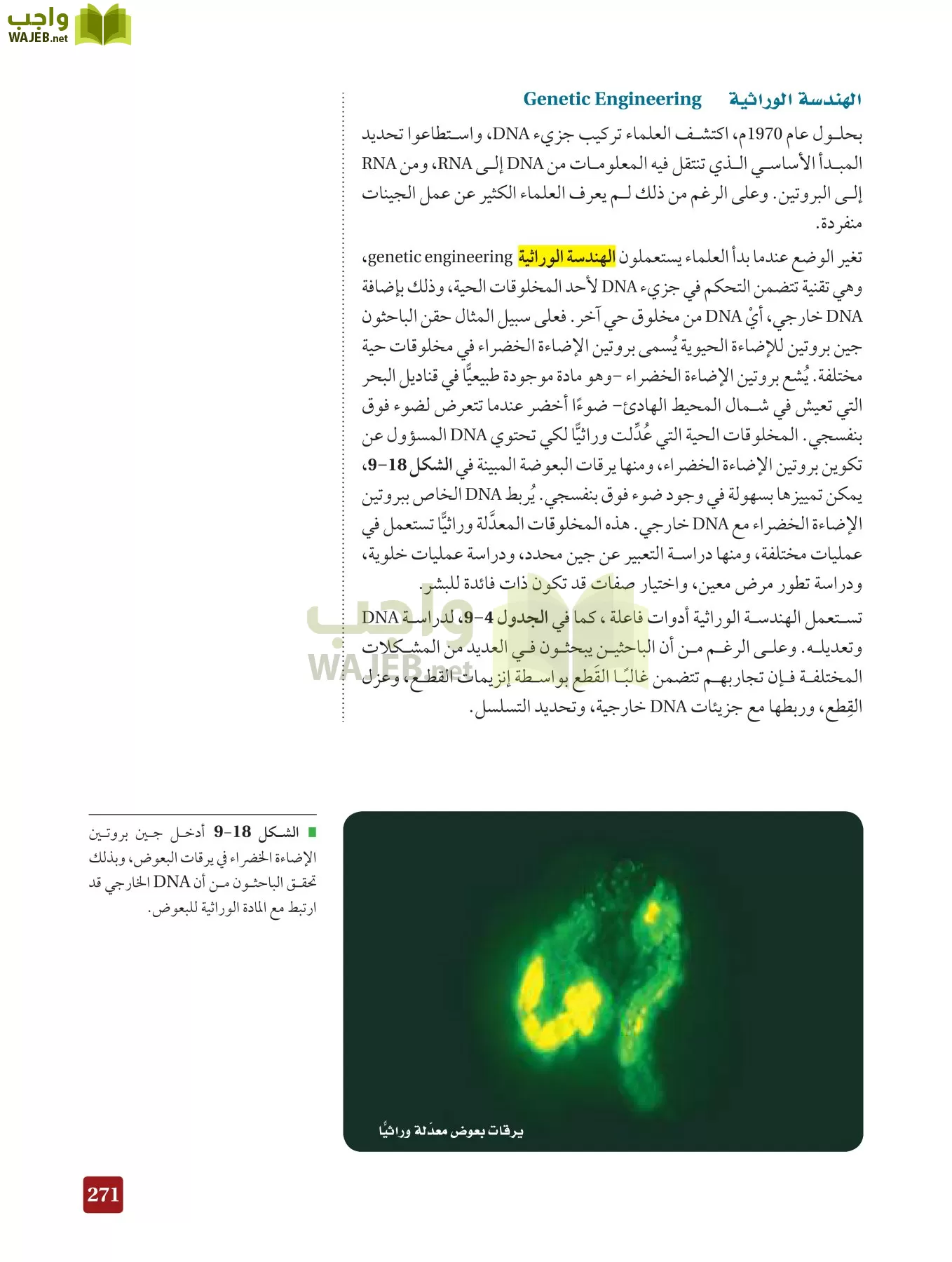 أحياء 3 مقررات page-270