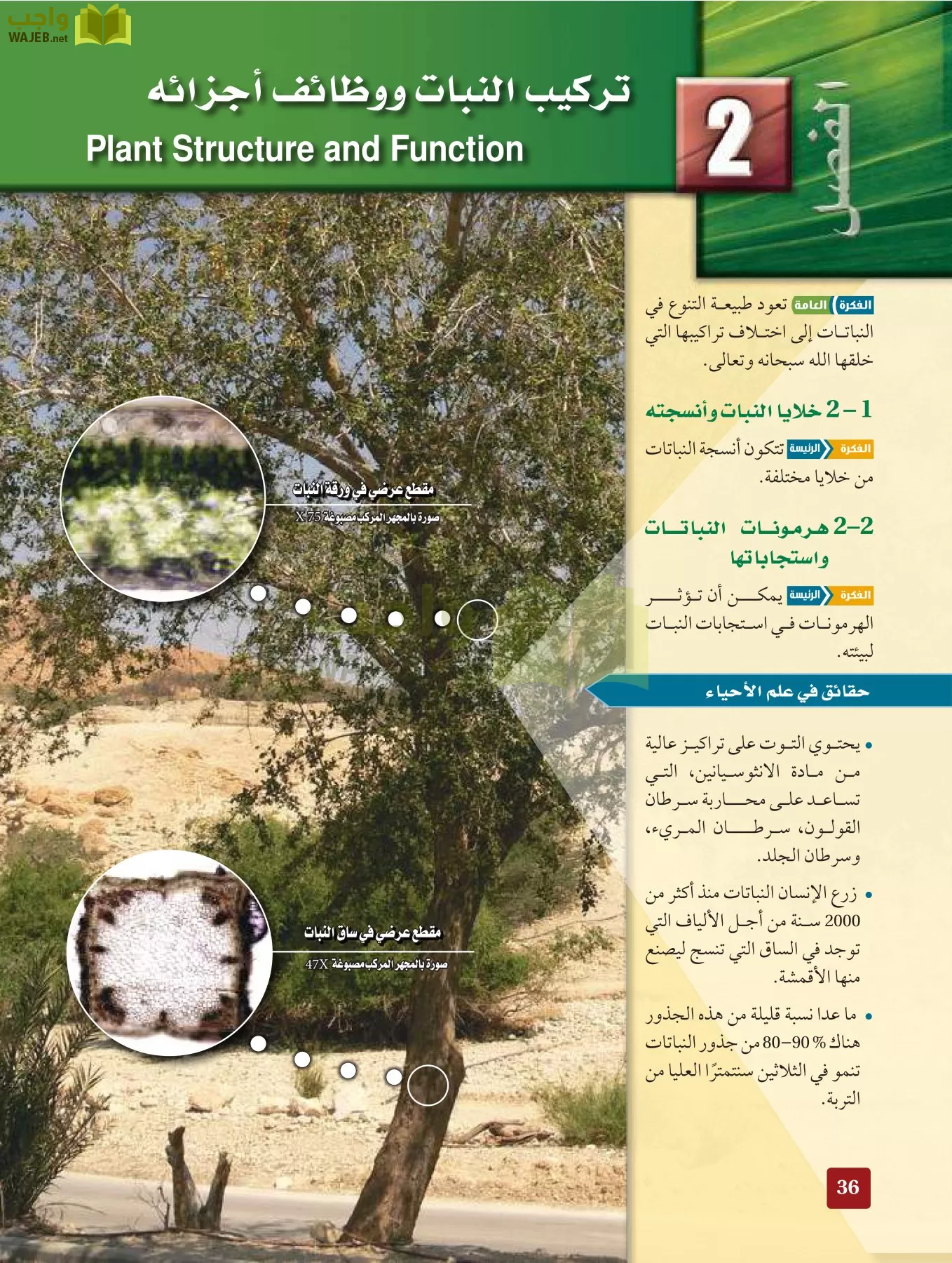 أحياء 3 مقررات page-35