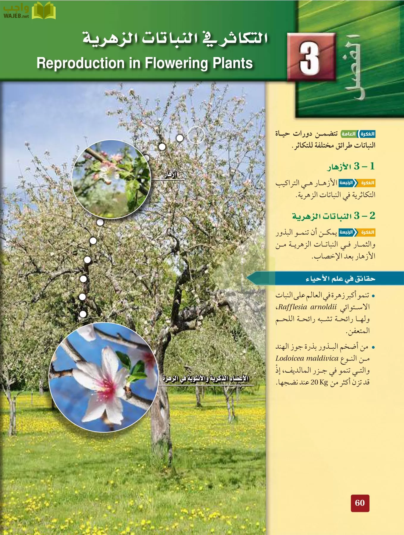 أحياء 3 مقررات page-59