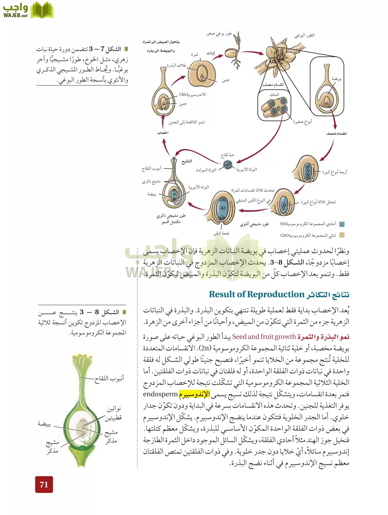 أحياء 3 مقررات page-70