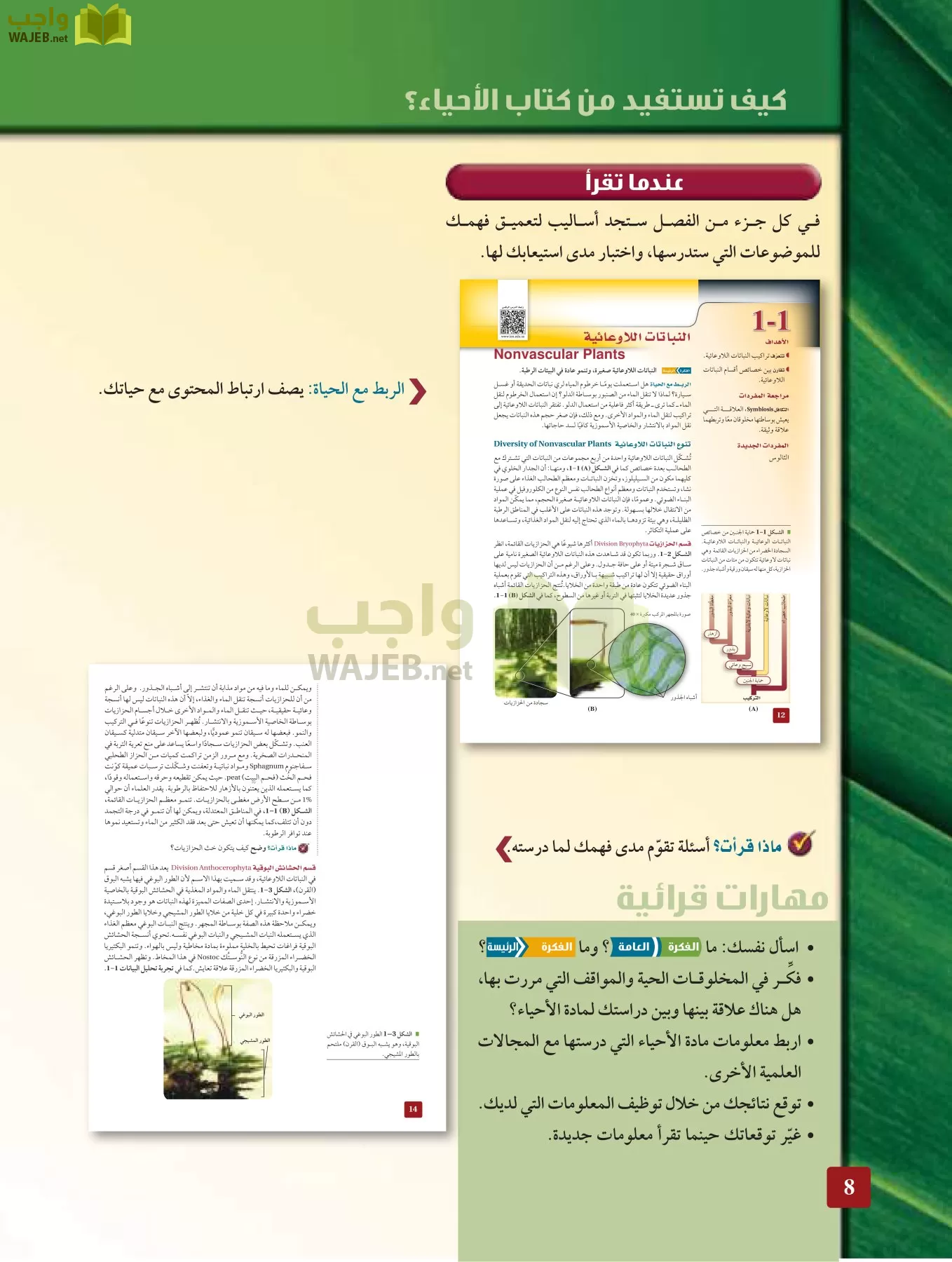 أحياء 3 مقررات page-7