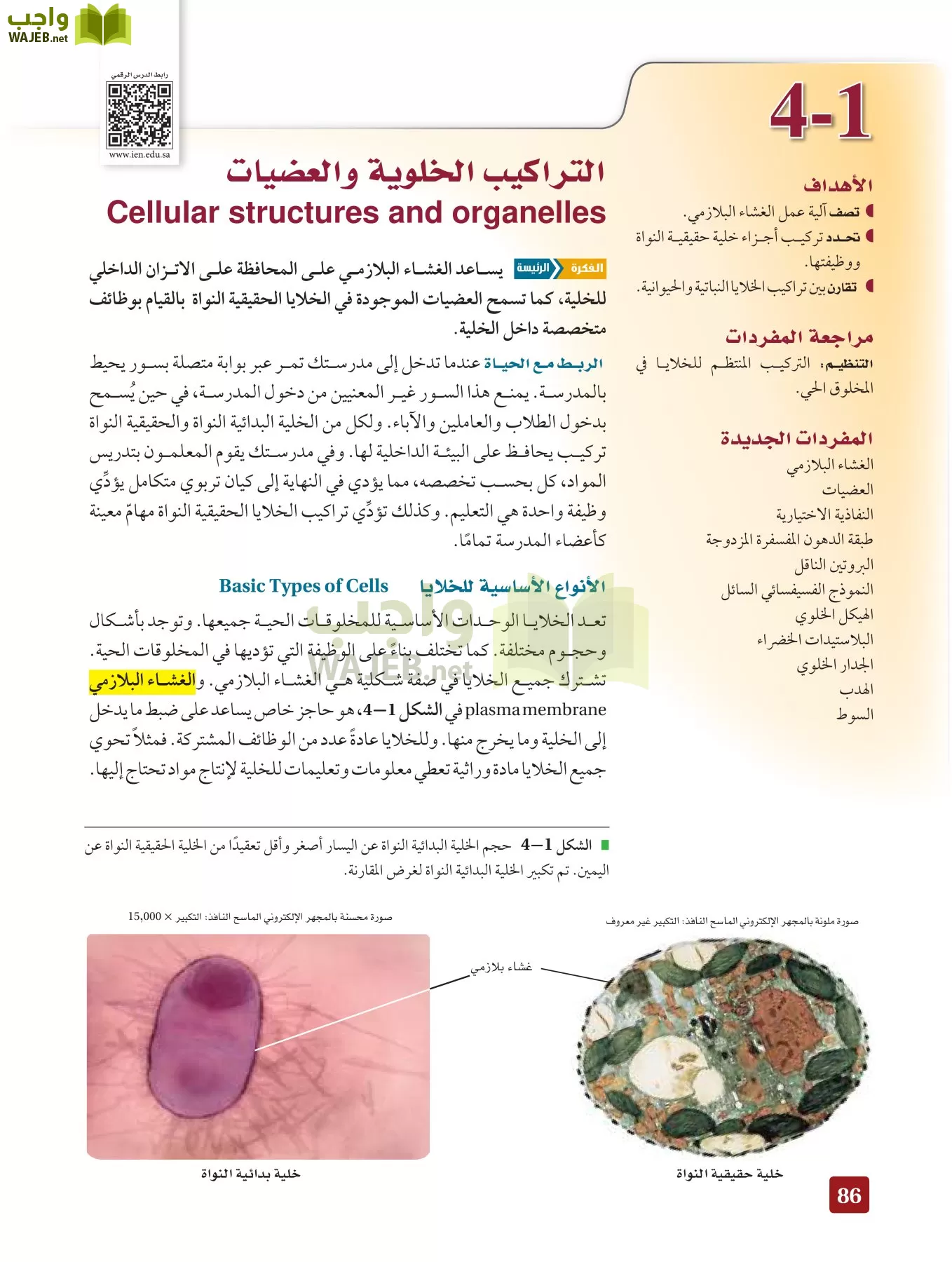 أحياء 3 مقررات page-85
