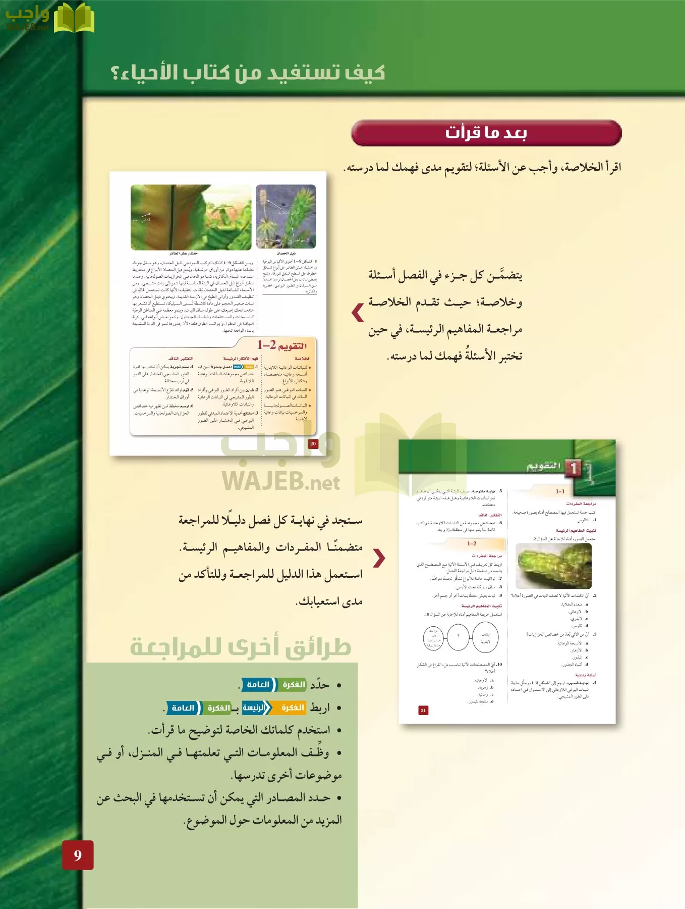 أحياء 3 مقررات page-8
