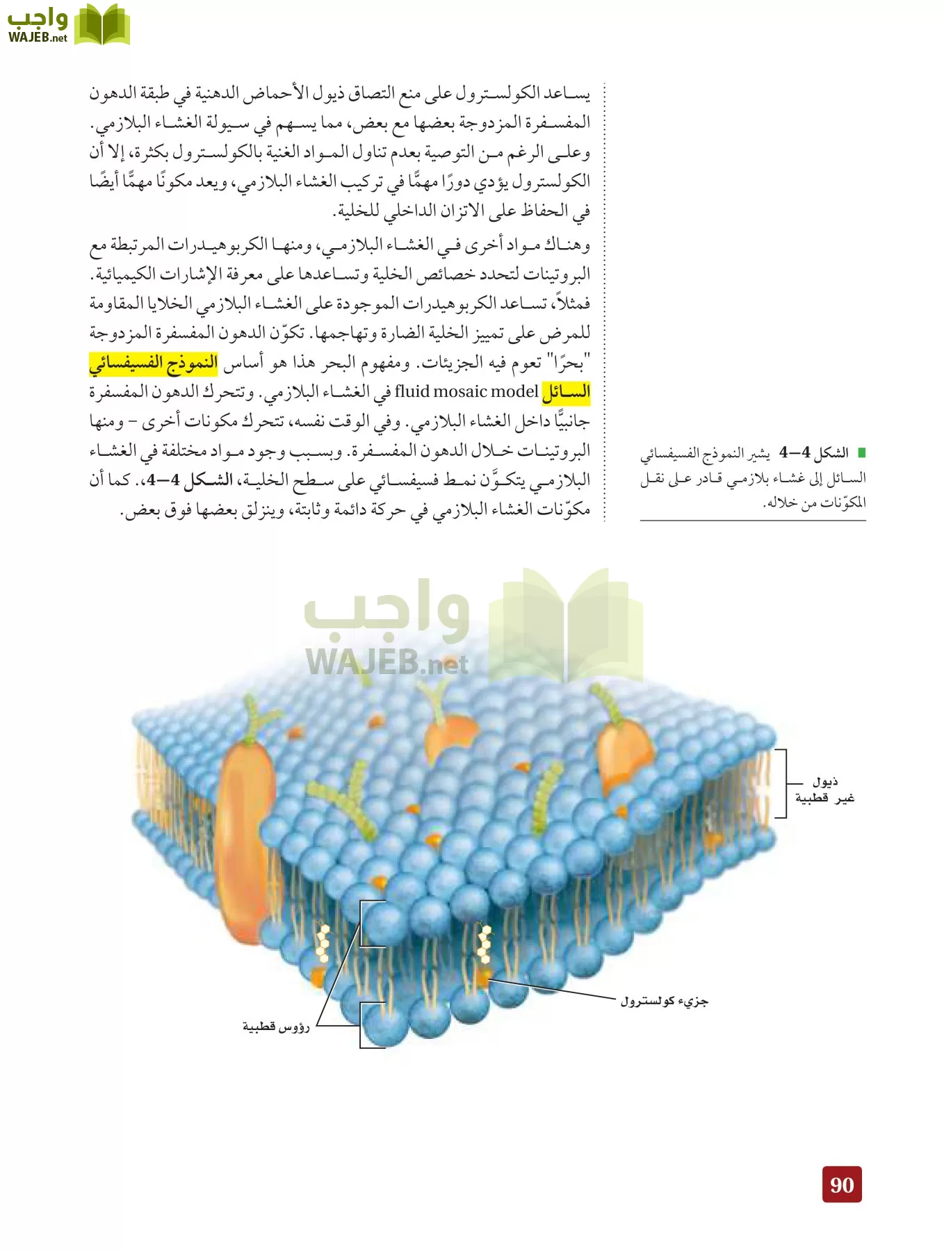 أحياء 3 مقررات page-89