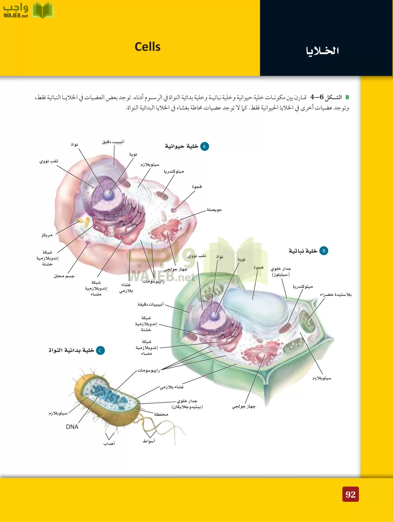 أحياء 3 مقررات page-91