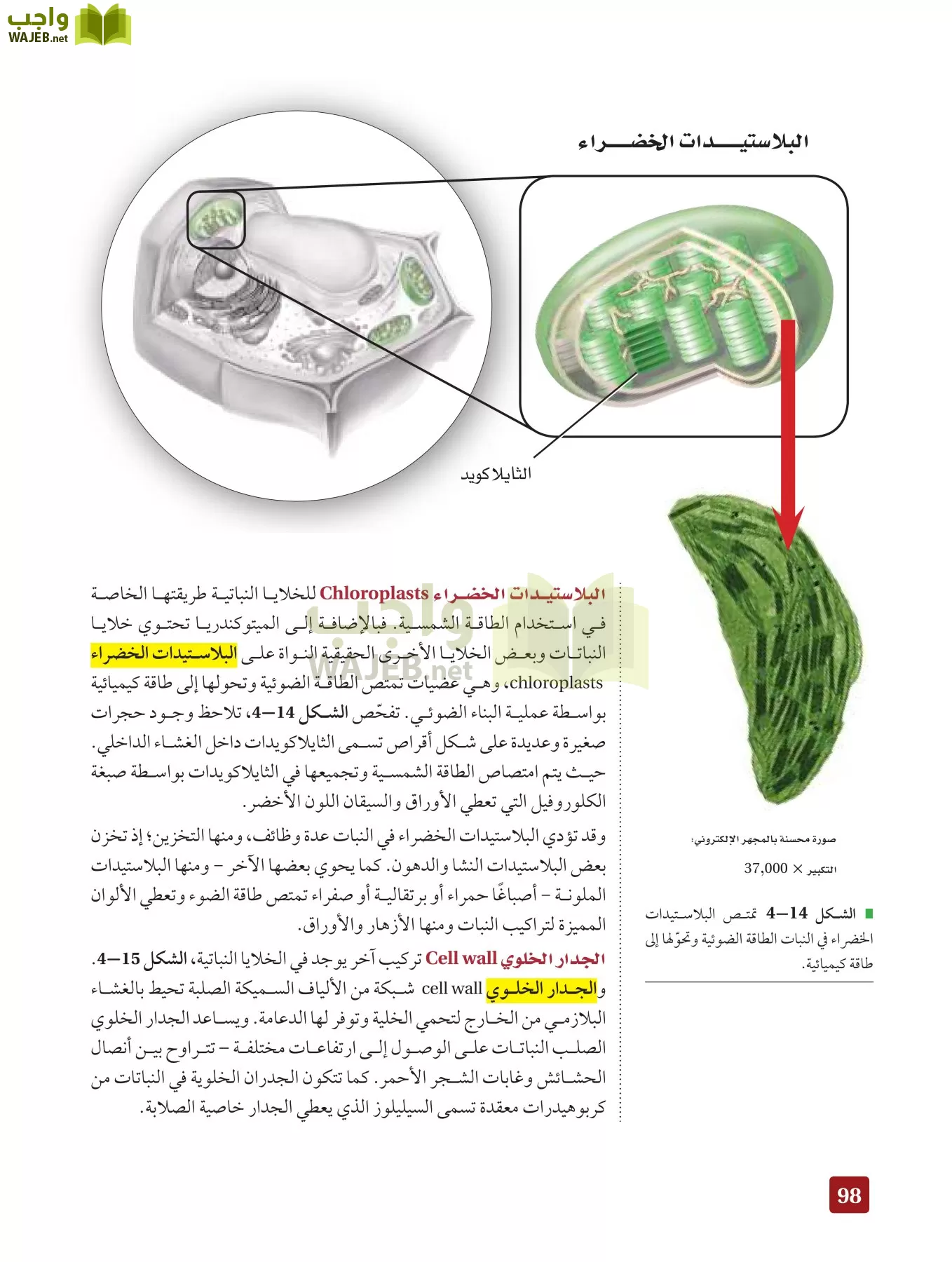 أحياء 3 مقررات page-97