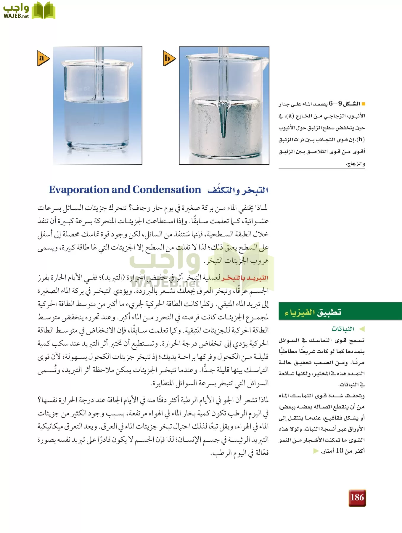 فيزياء 2 مقررات page-185