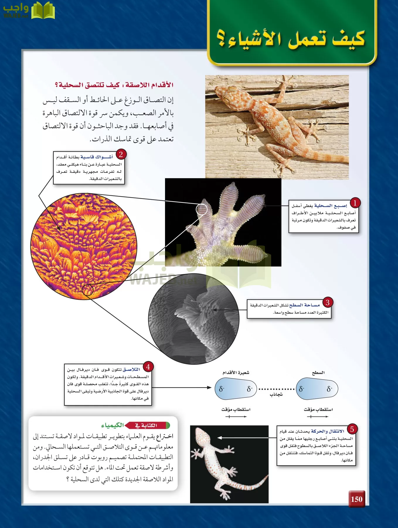 كيمياء 2 مقررات page-149