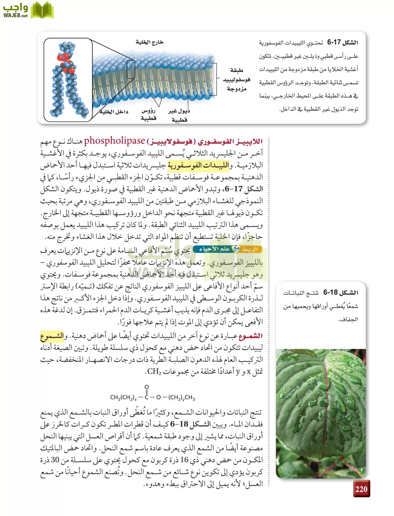 كيمياء 4 مقررات page-220