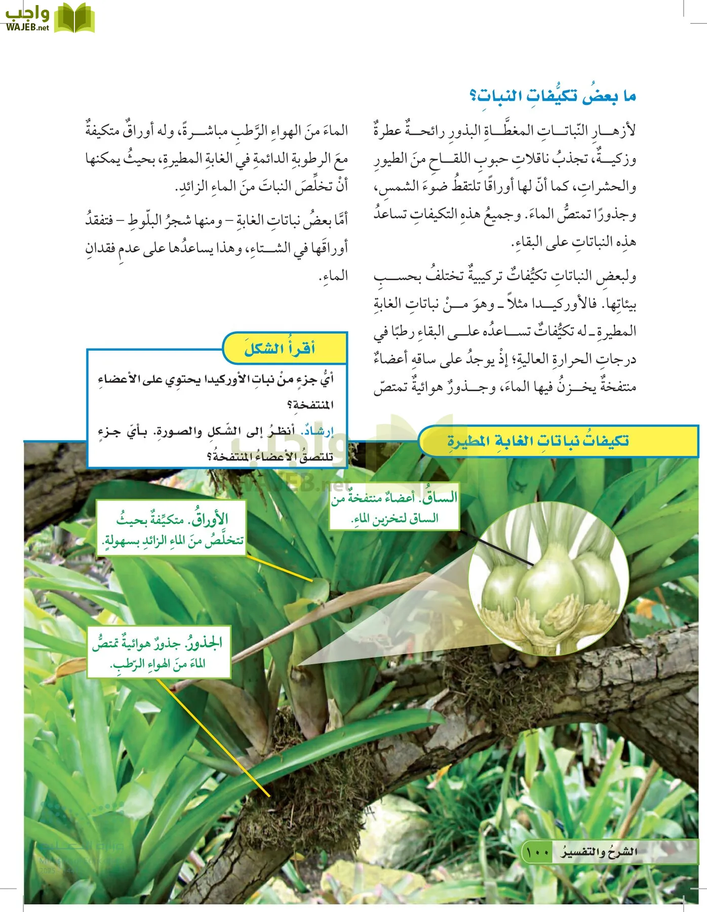 العلوم page-99