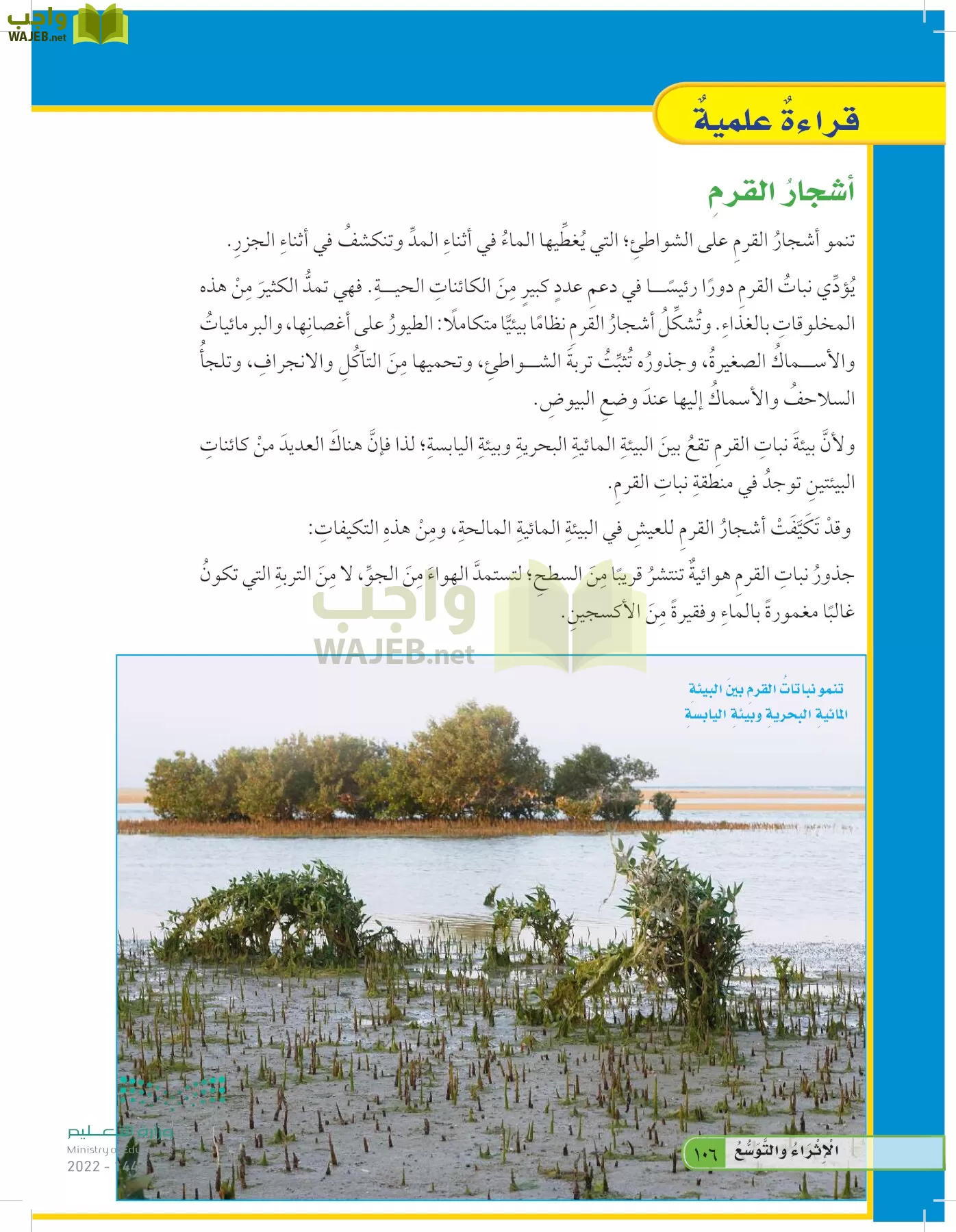 العلوم page-105