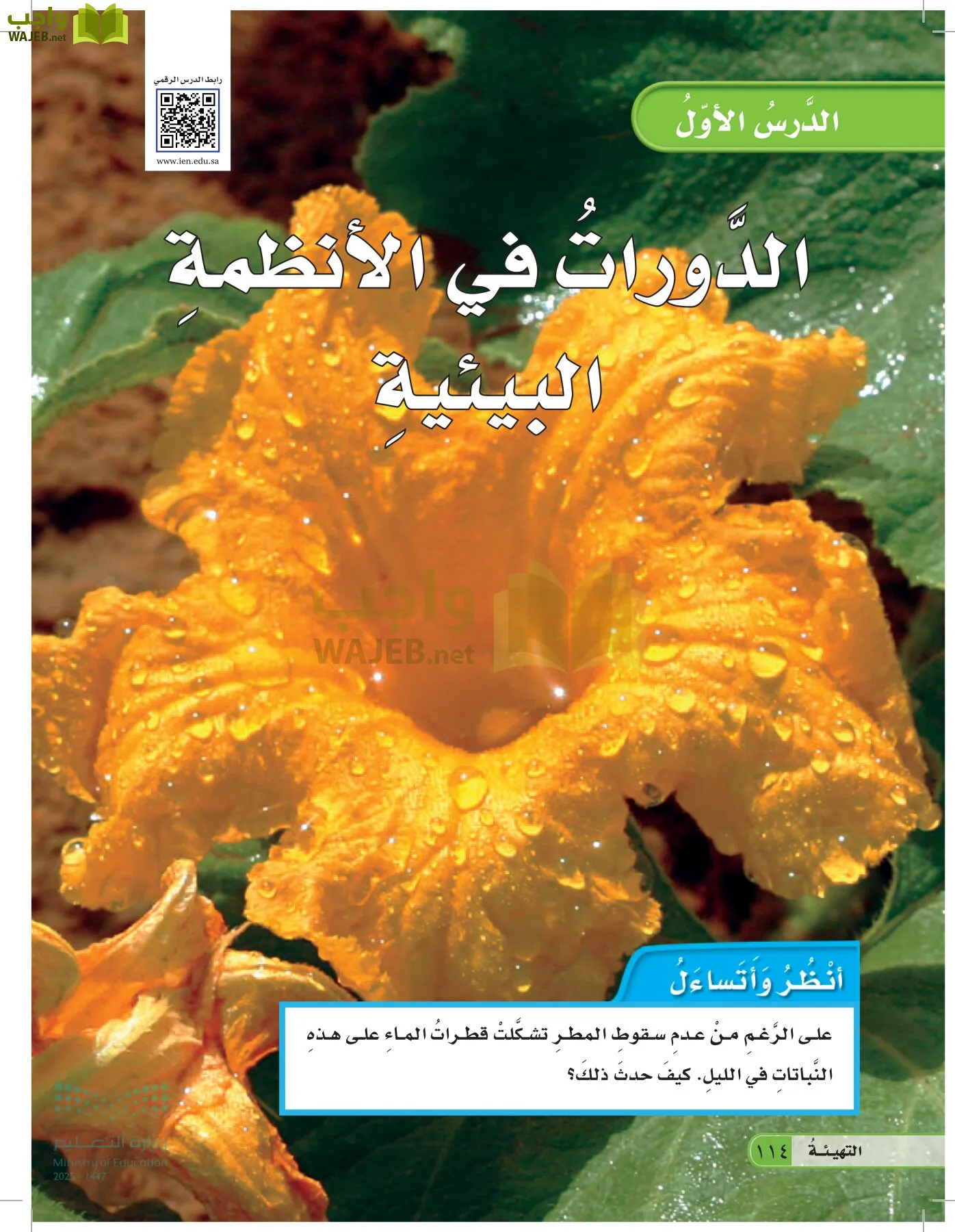 العلوم page-113