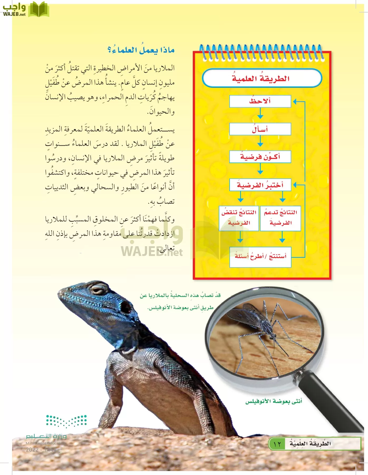 العلوم page-11