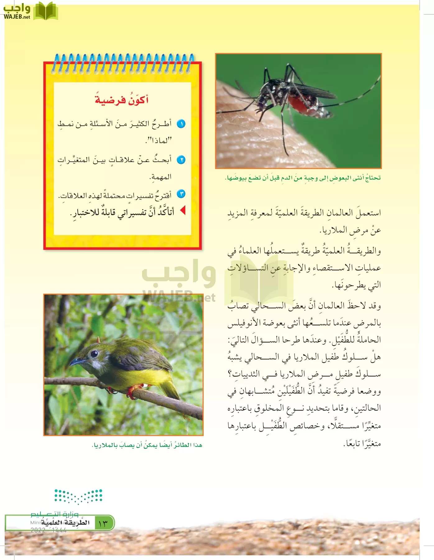 العلوم page-12