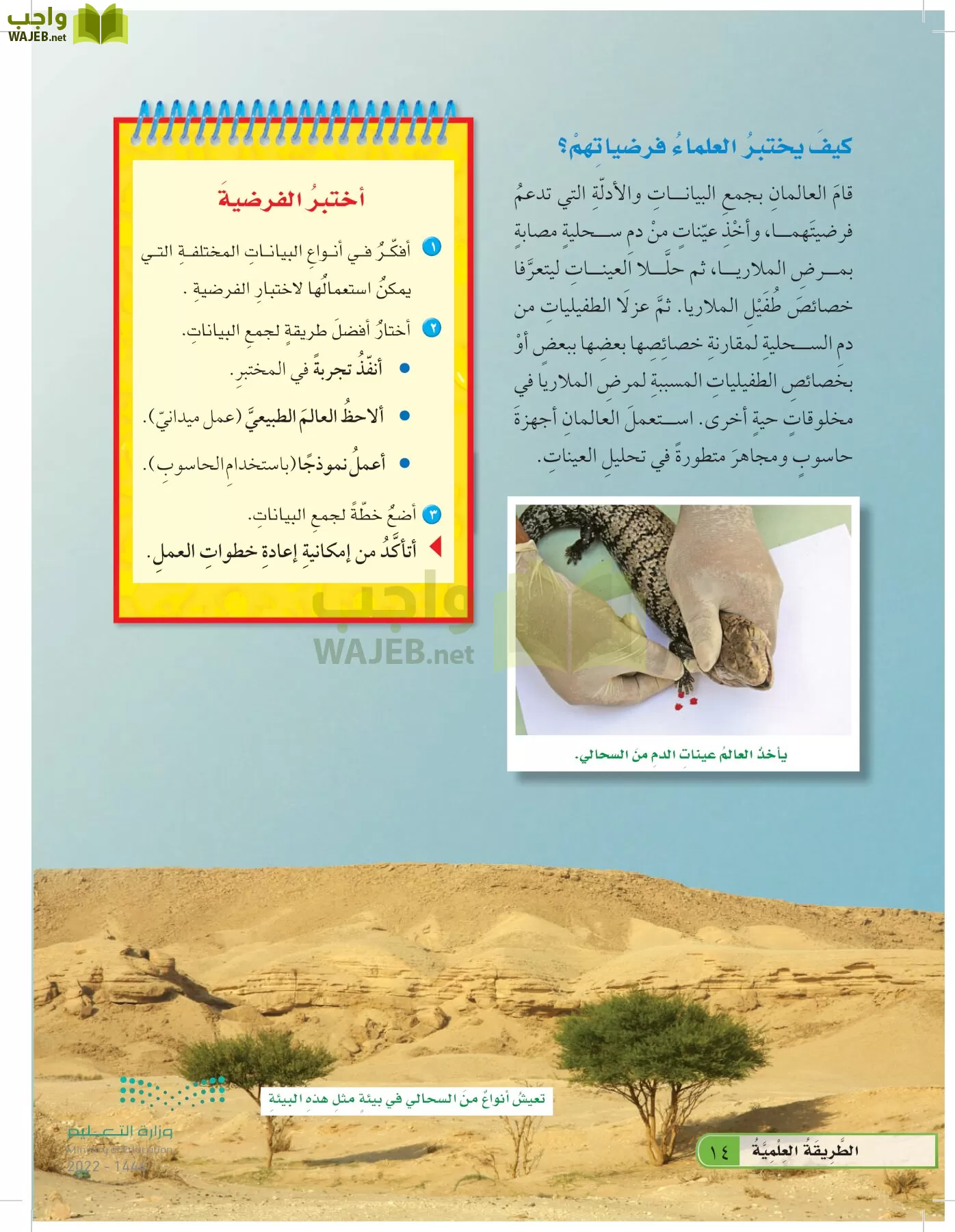 العلوم page-13