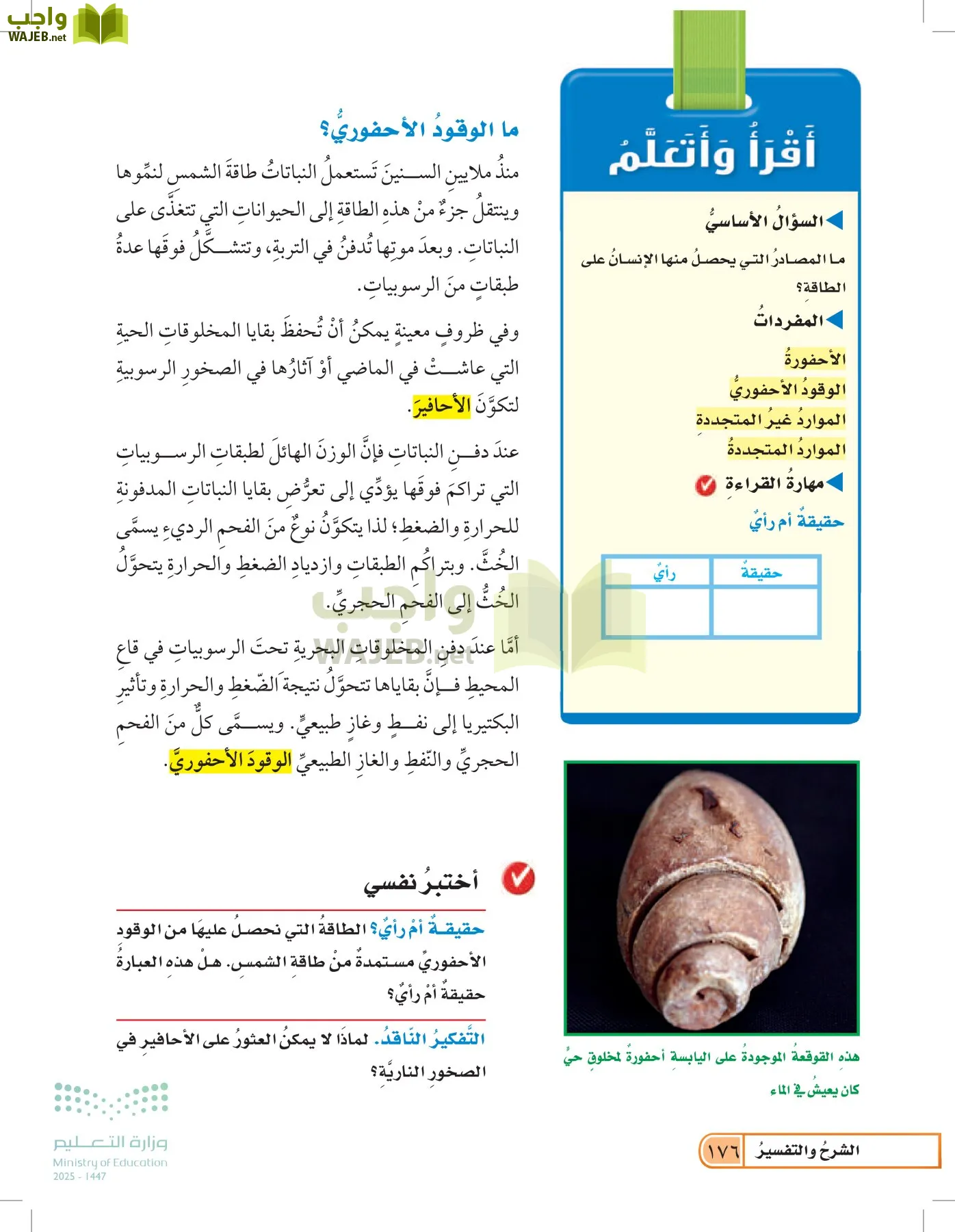 العلوم page-175