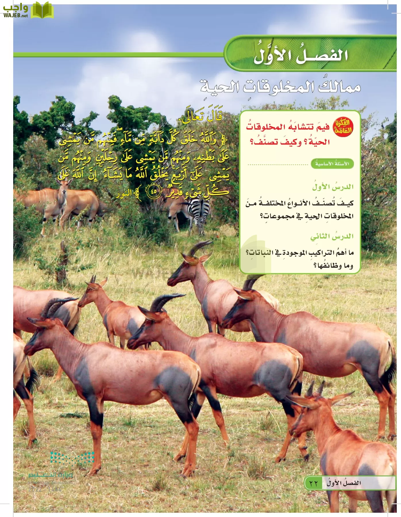 العلوم page-21