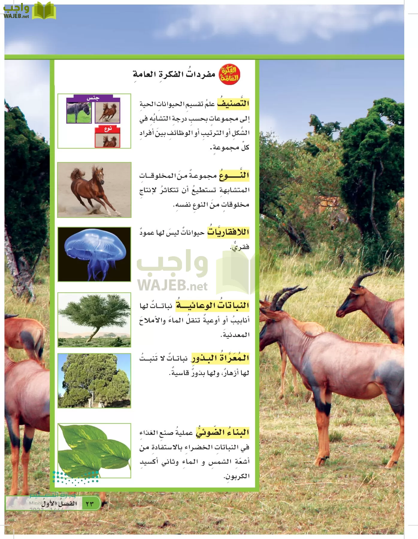 العلوم page-22