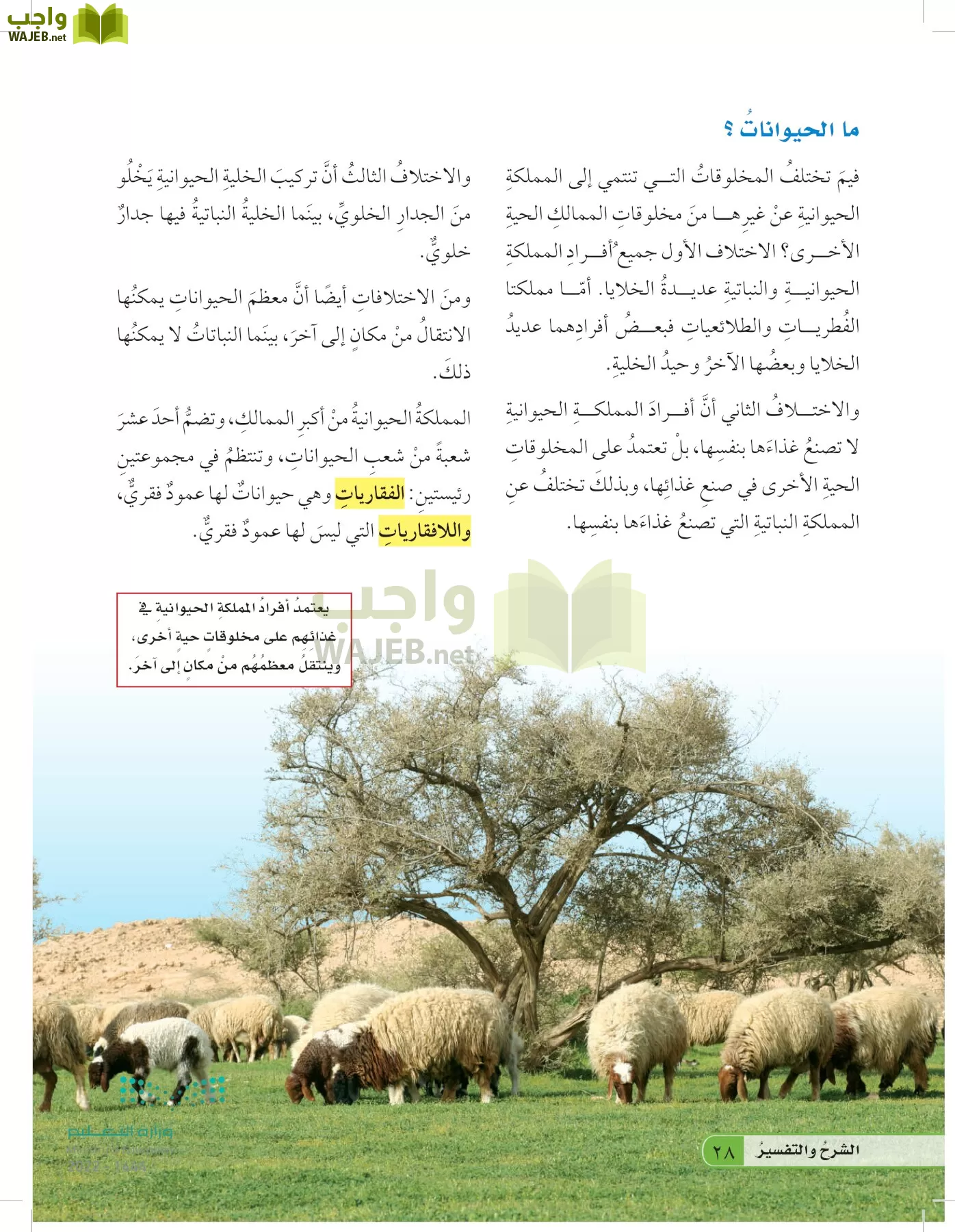 العلوم page-27