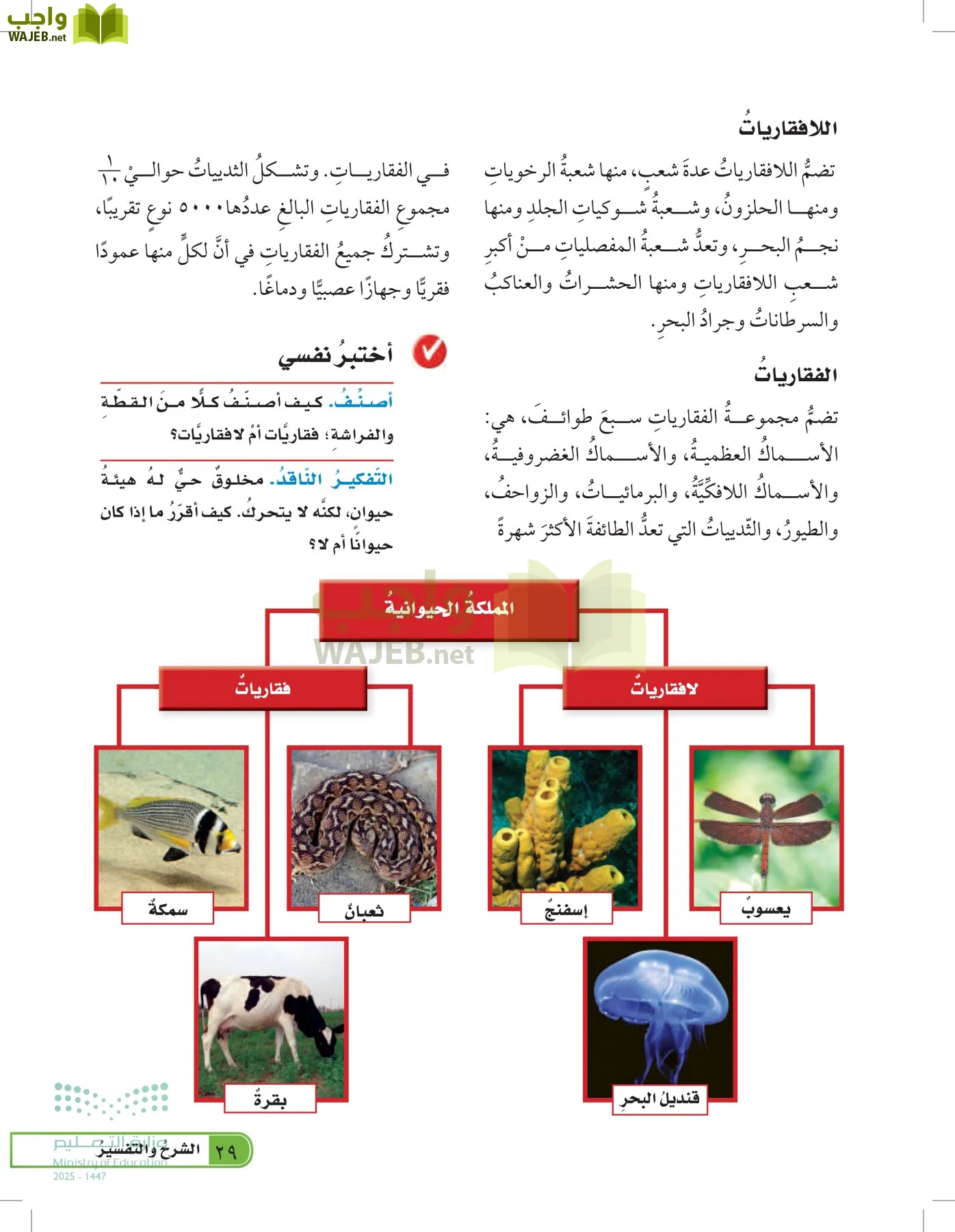 العلوم page-28