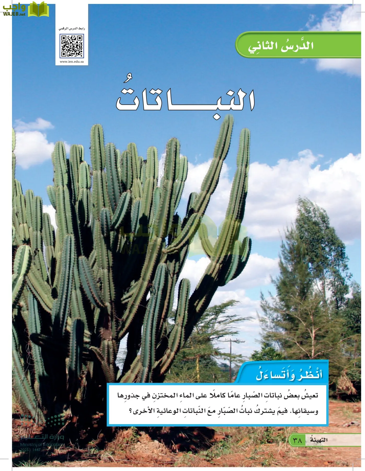 العلوم page-37