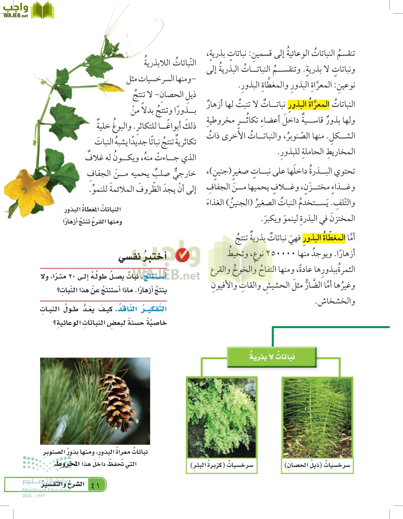 العلوم page-40