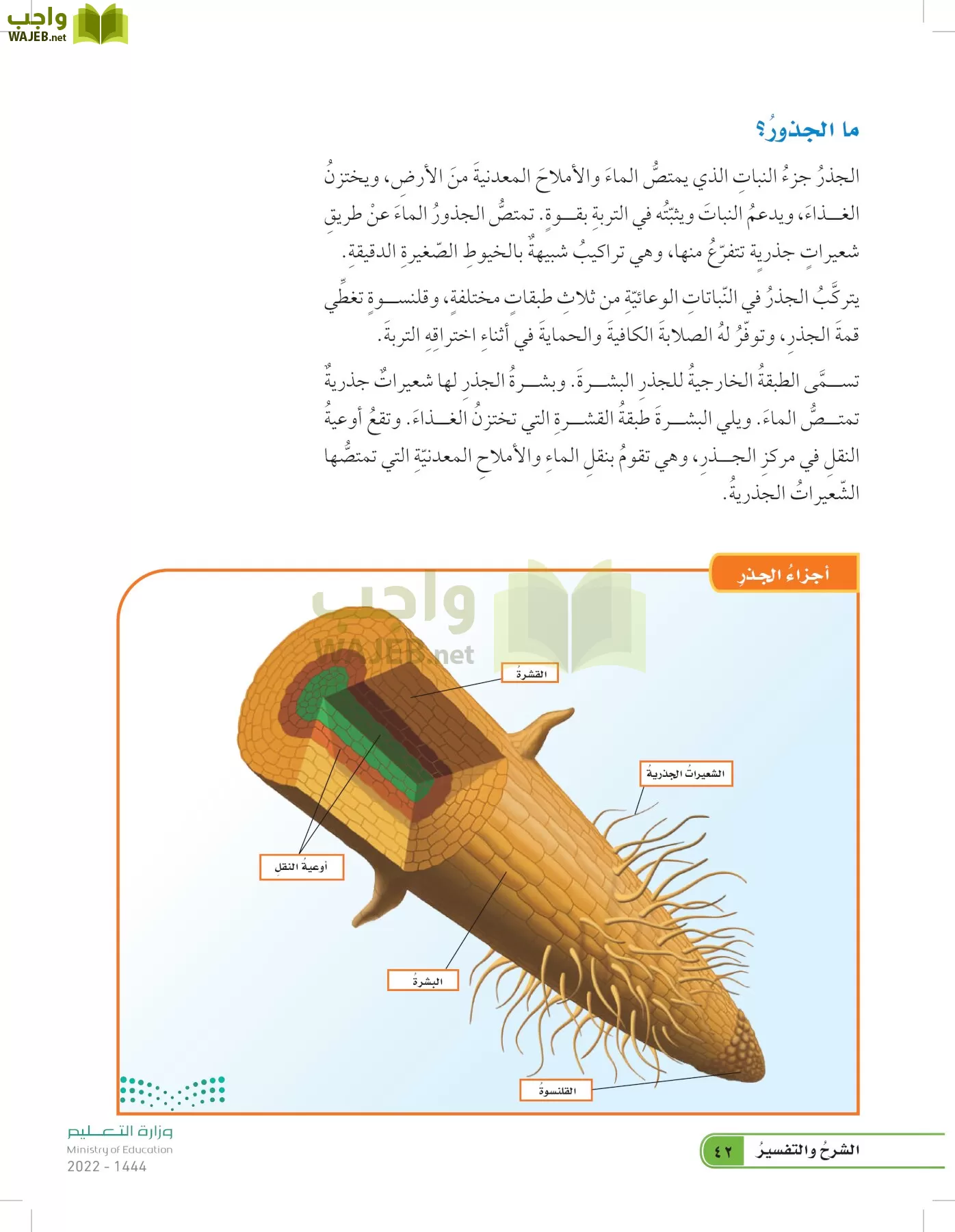 العلوم page-41