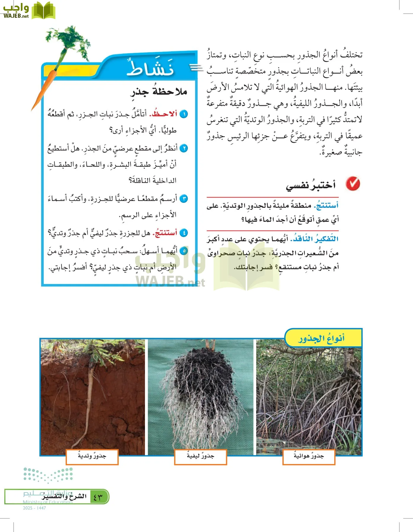 العلوم page-42