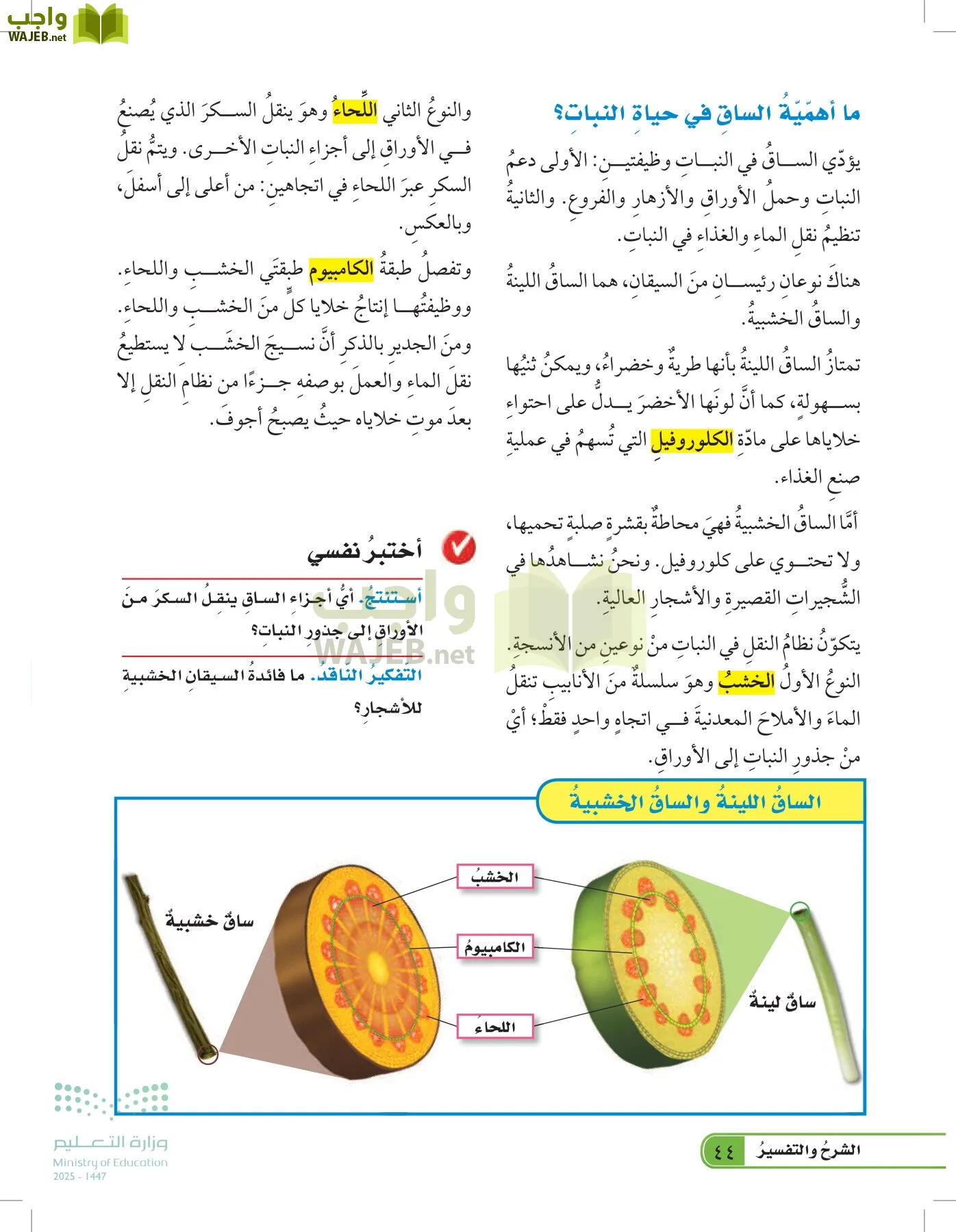 العلوم page-43