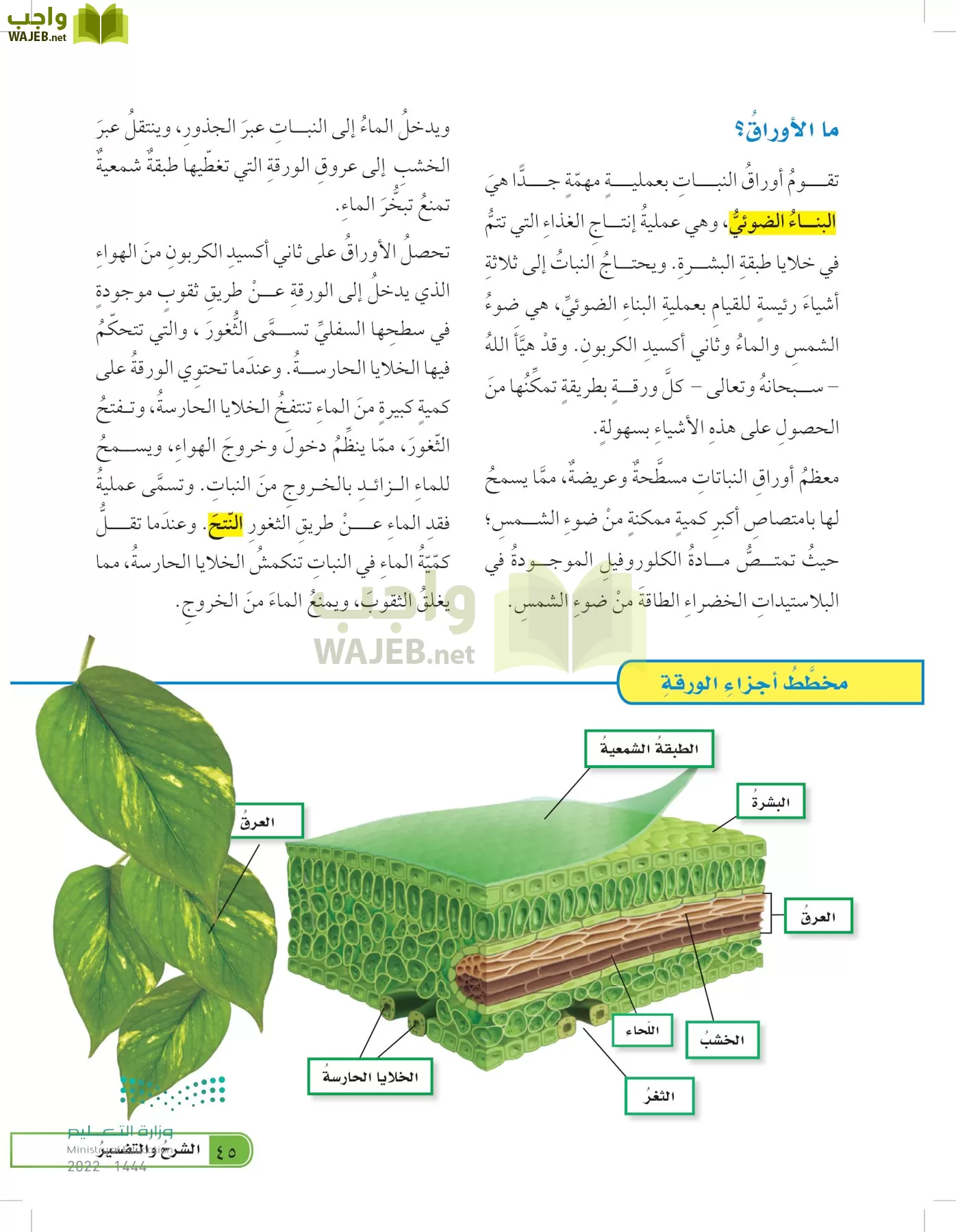 العلوم page-44