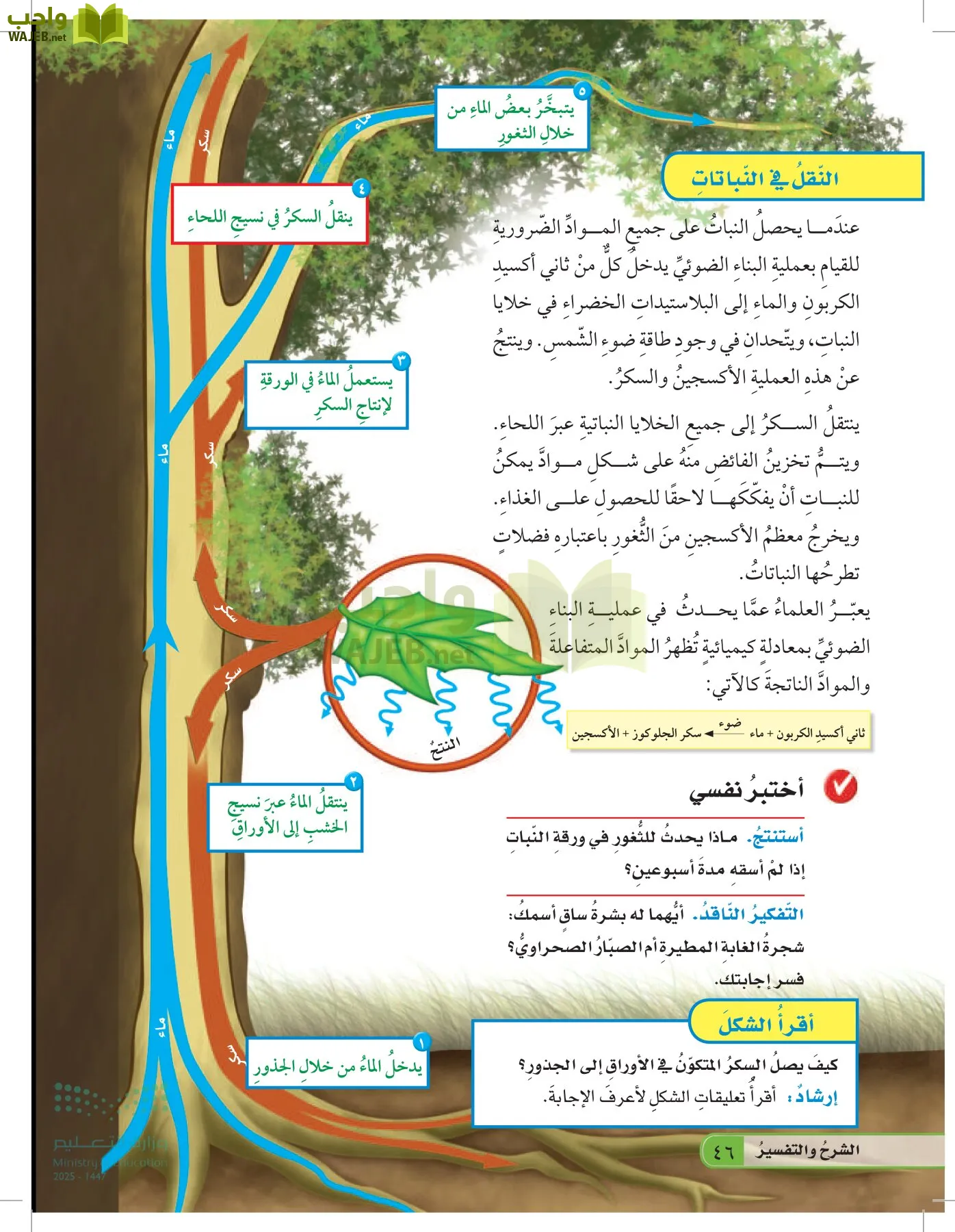 العلوم page-45