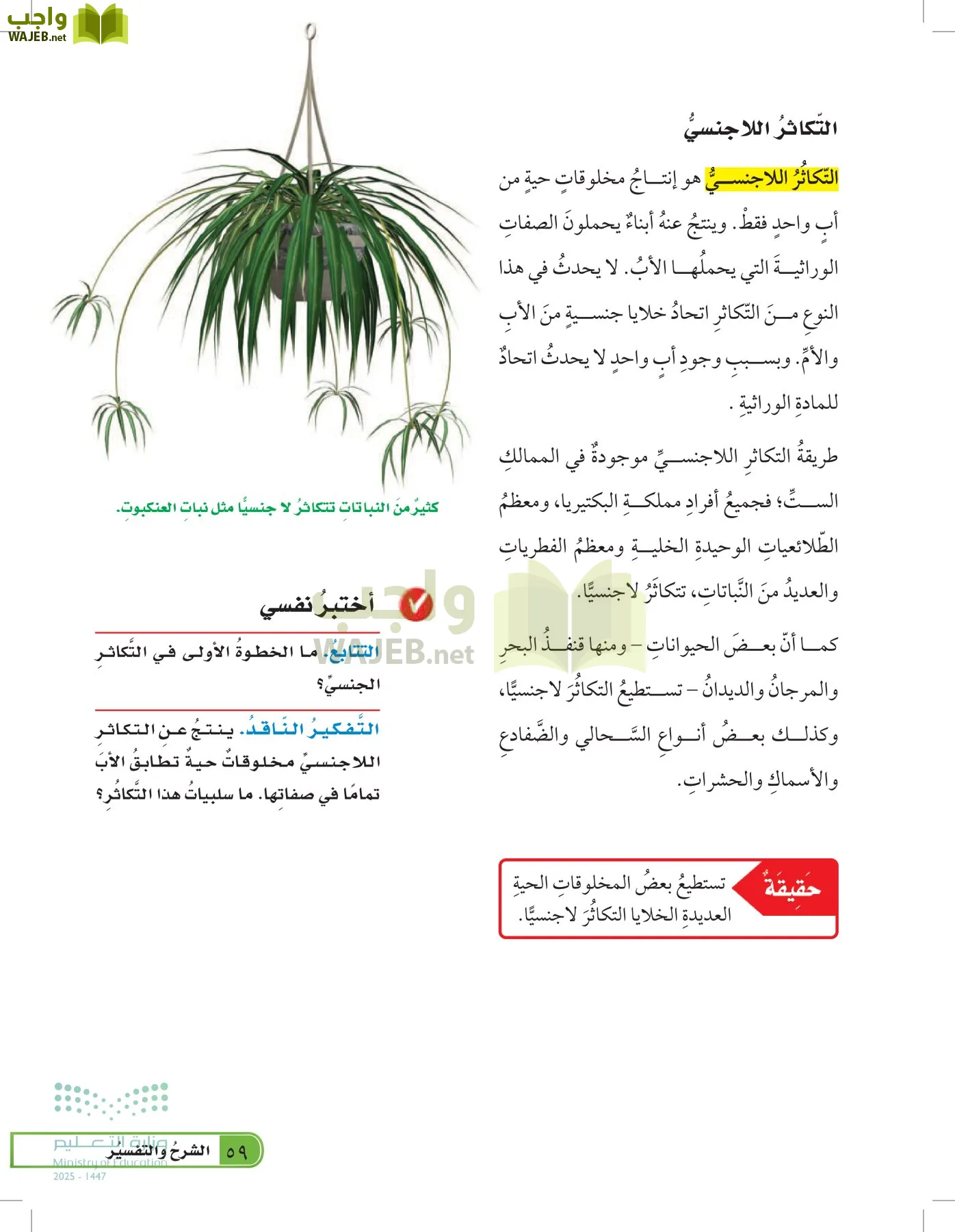 العلوم page-58