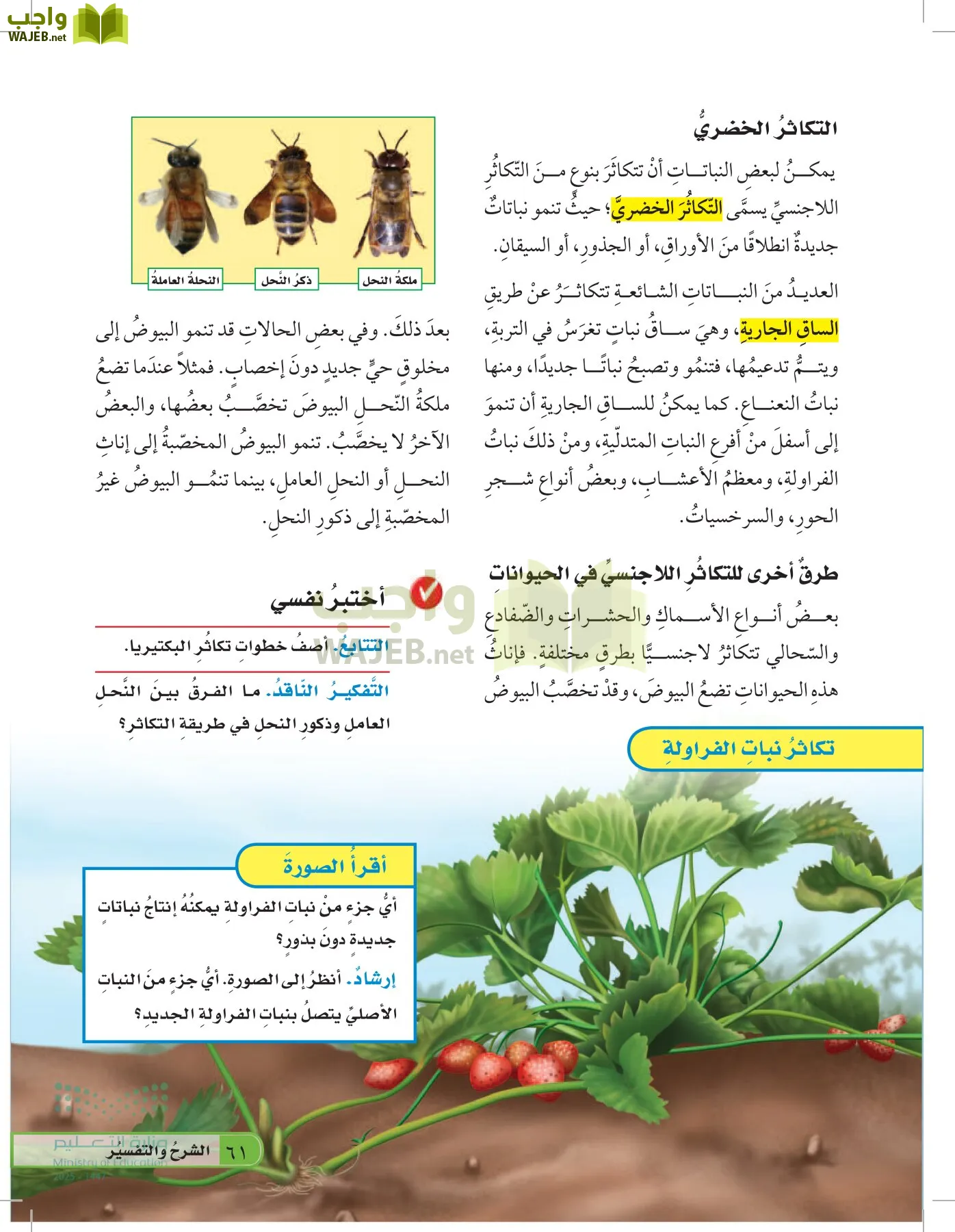 العلوم page-60