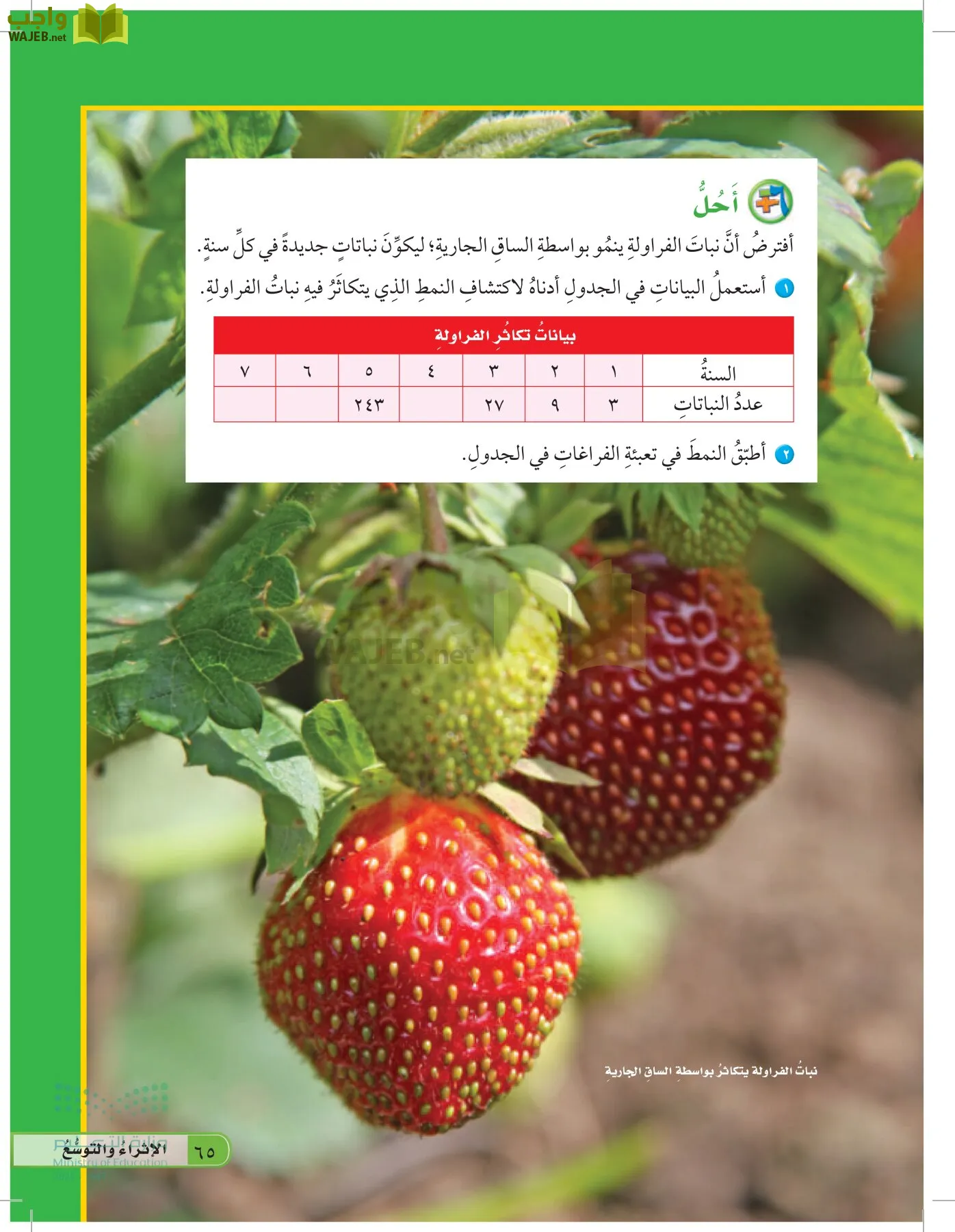 العلوم page-64