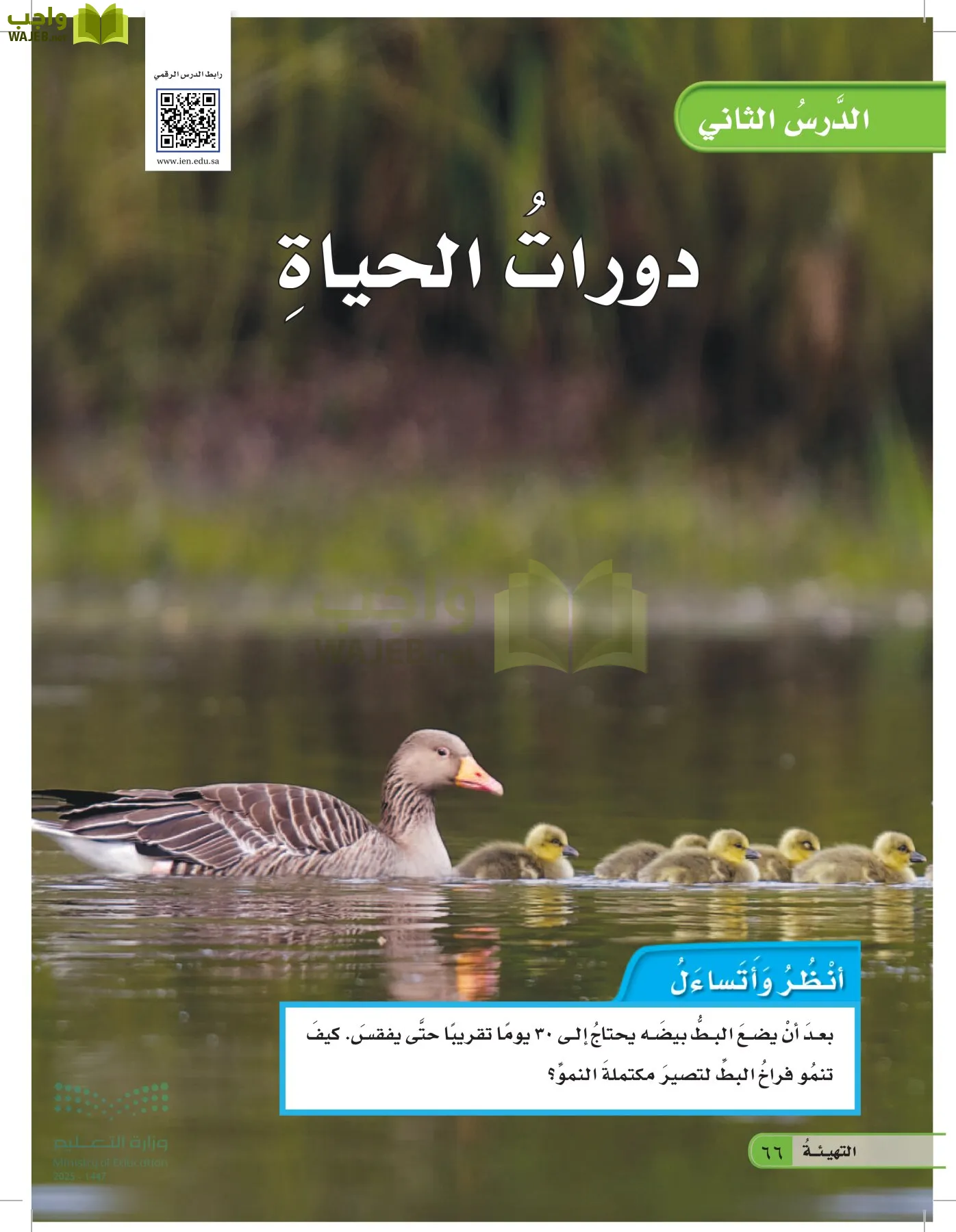 العلوم page-65