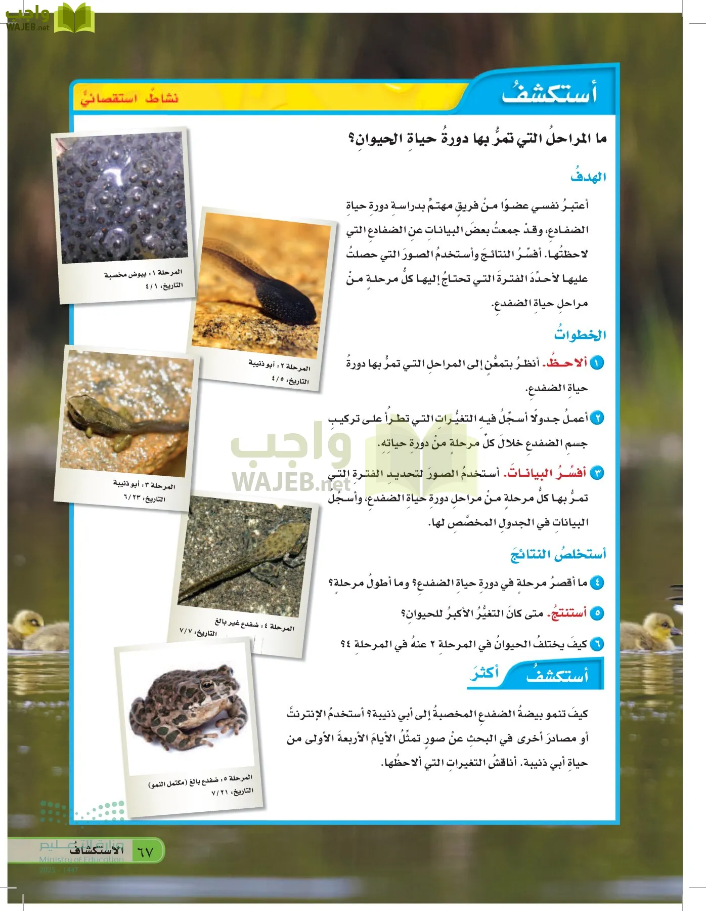 العلوم page-66