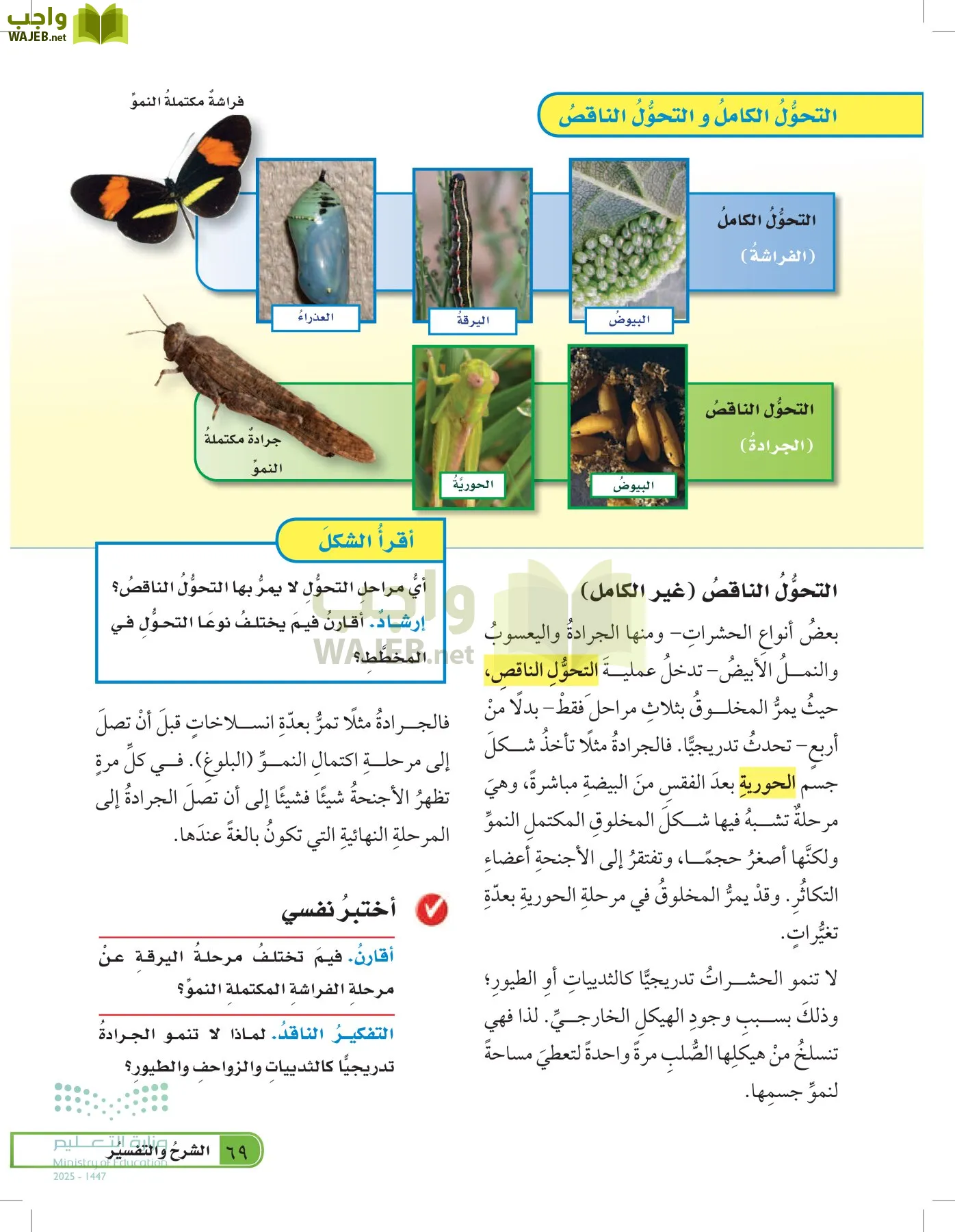العلوم page-68